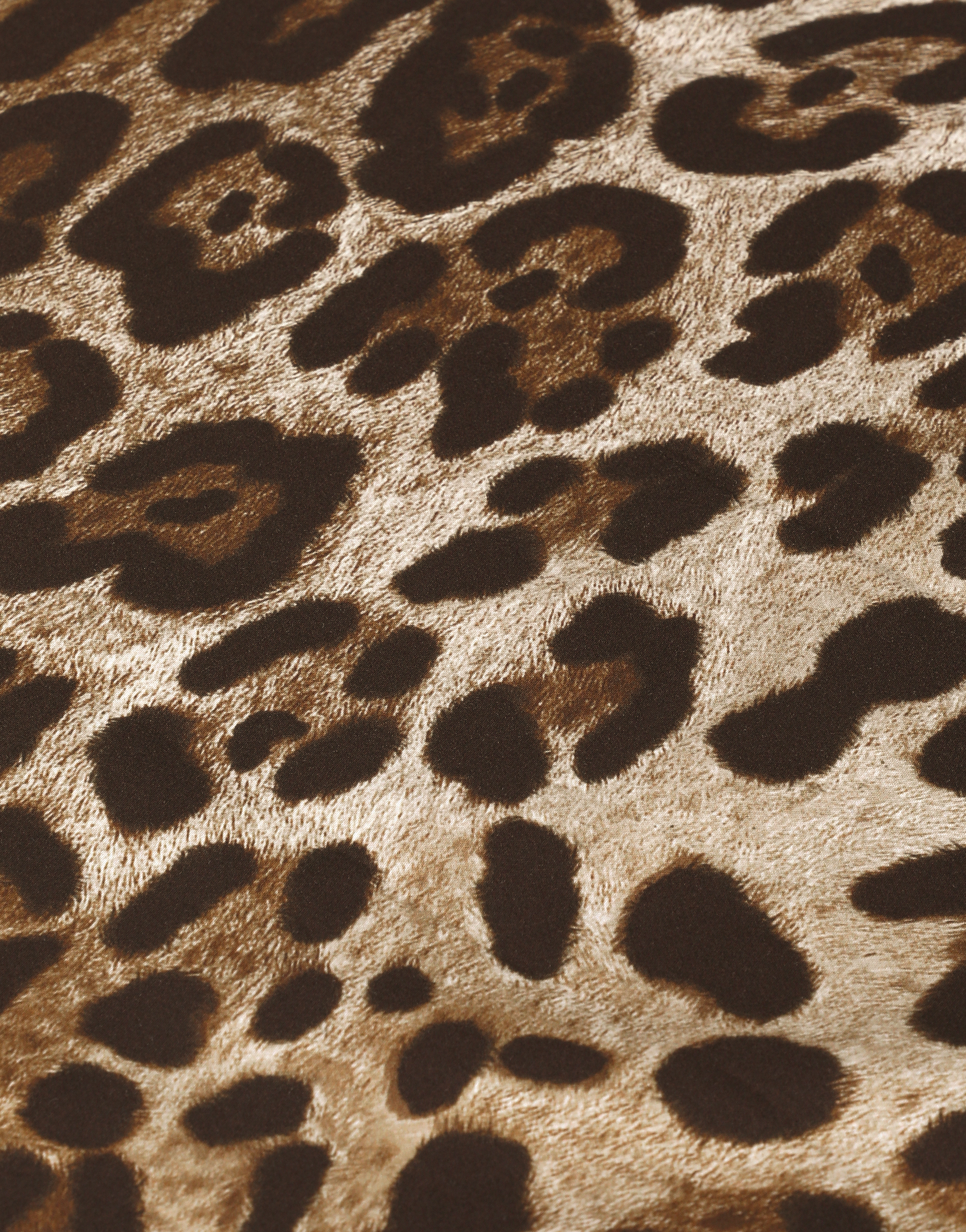 Dolce & Gabbana Set 2 Cotton Sateen Pillowcases In Animal Print