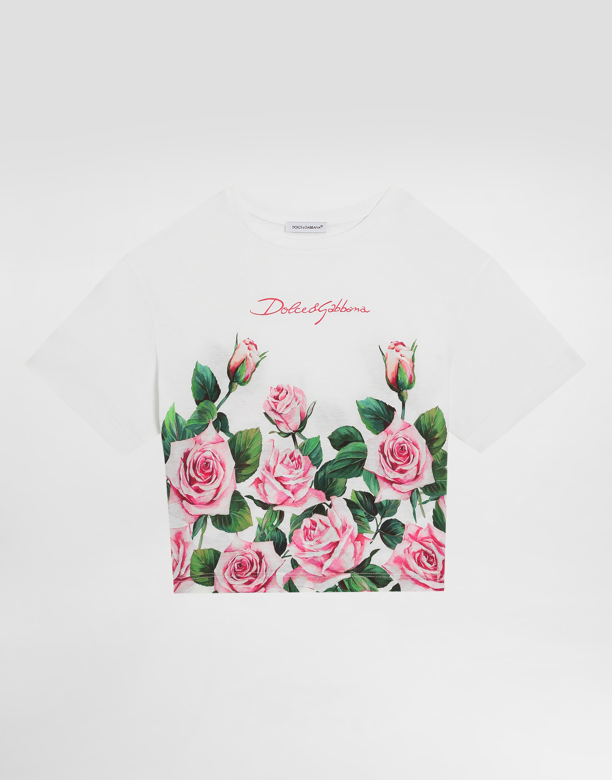 Dolce & Gabbana Jersey T-shirt With Rose Print In Print