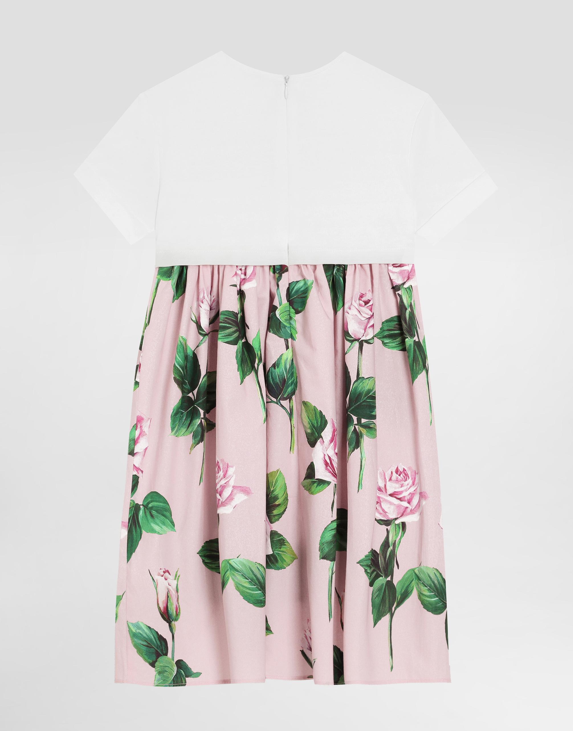 Dolce & Gabbana Rose-print Poplin And Jersey Dress In Print