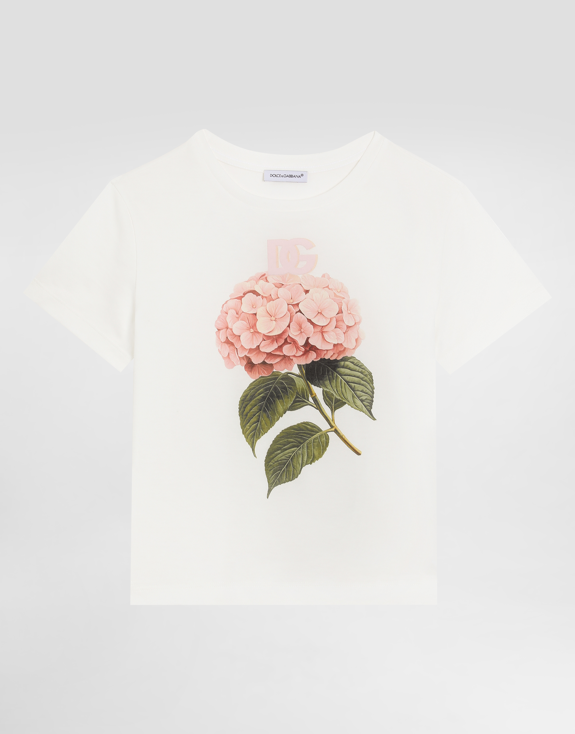 Dolce & Gabbana Jersey T-shirt With Print And Dg Logo In White
