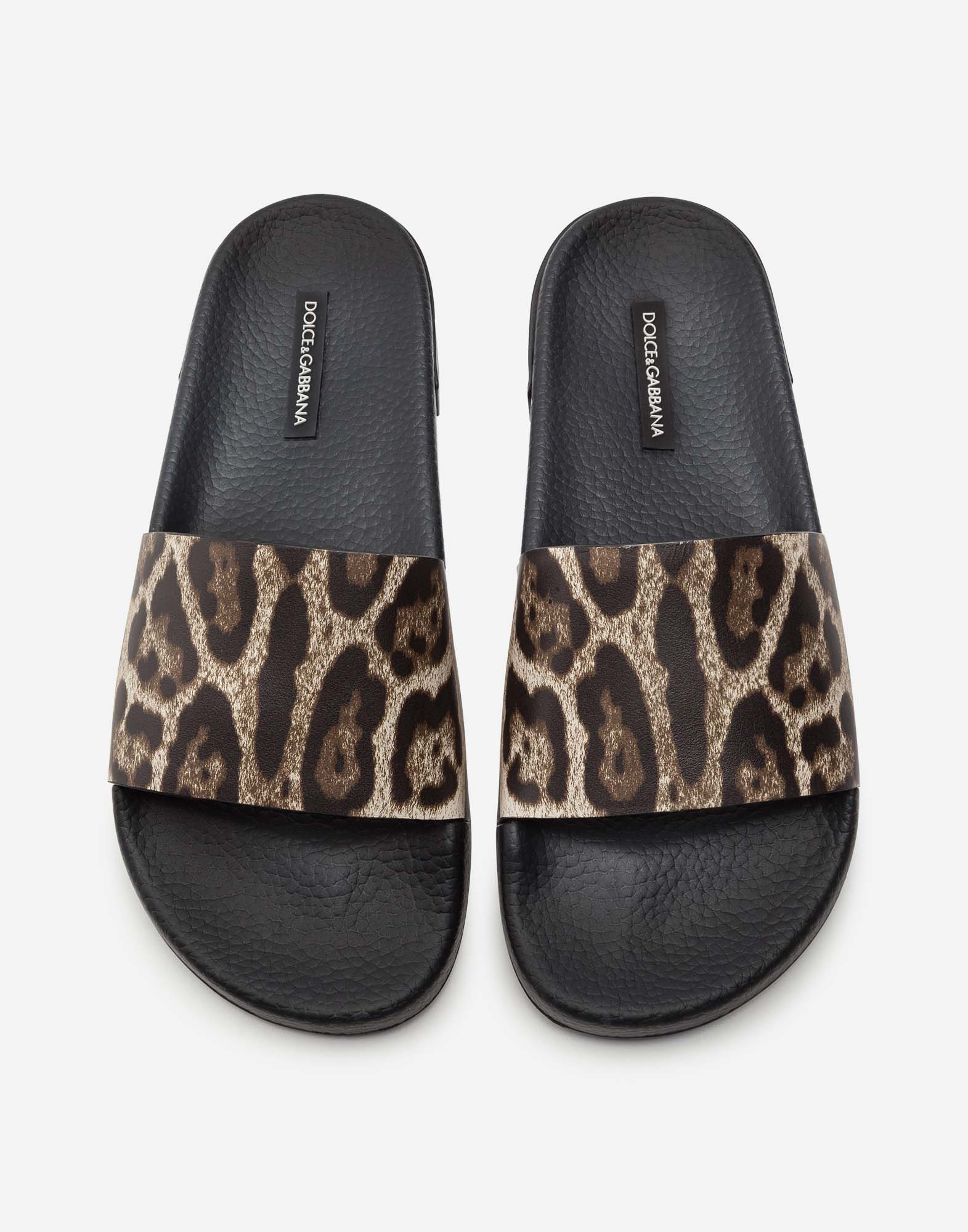 dolce & gabbana leopard and butterfly slide pool sandals