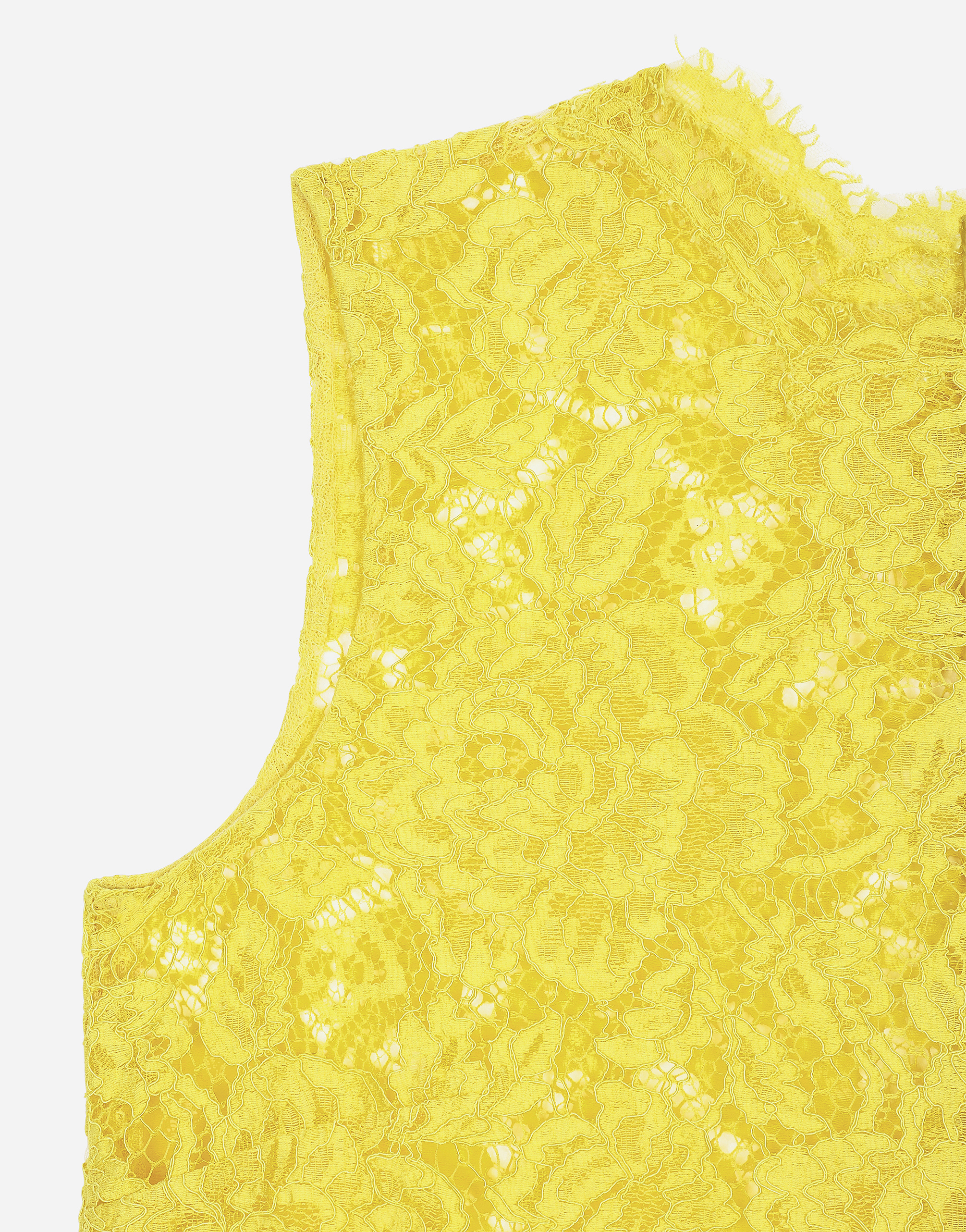 Shop Dolce & Gabbana Branded Floral Cordonetto Lace Top In Yellow