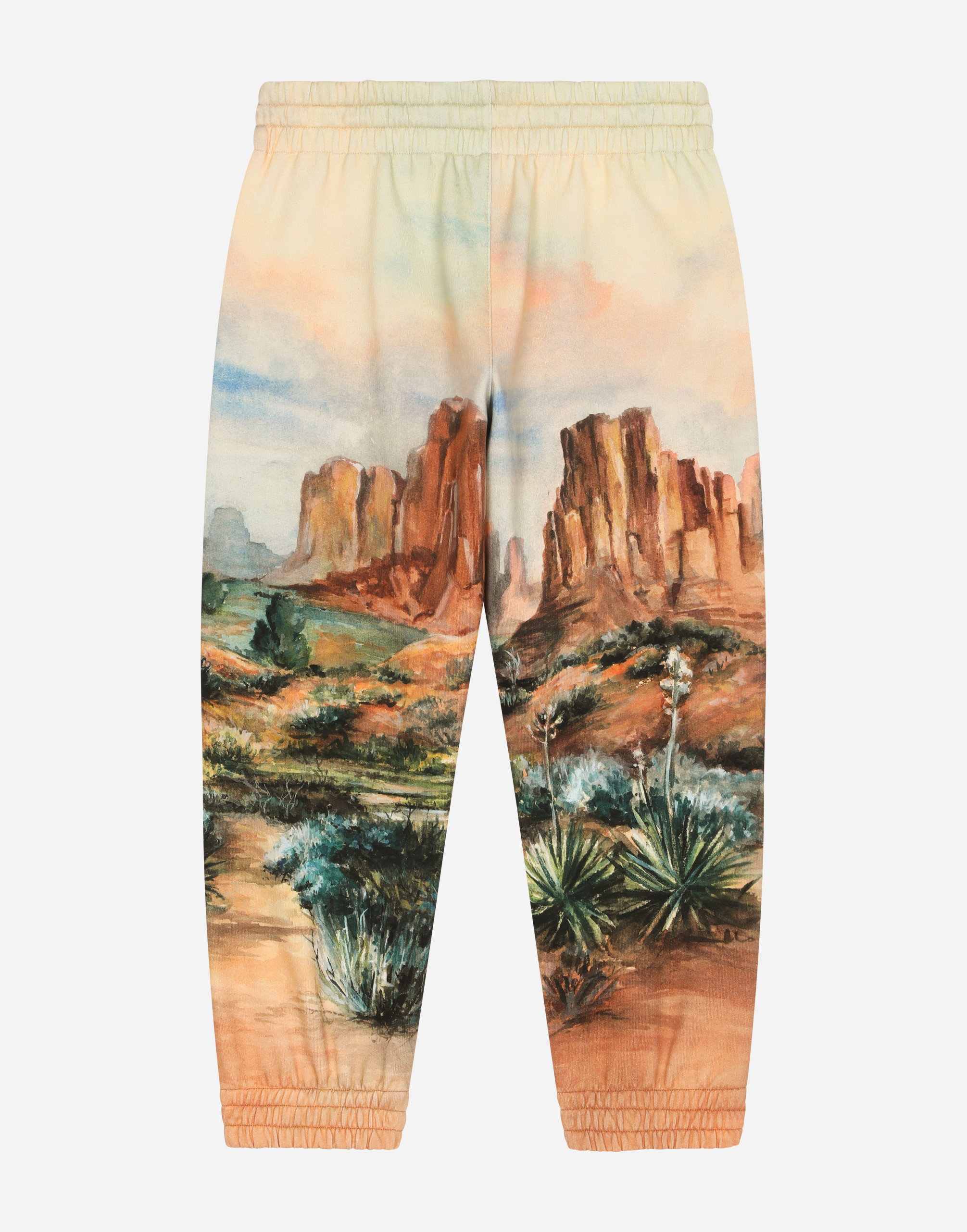 DOLCE & GABBANA COTTON JOGGING PANTS WITH CANYON PRINT AND LOGO TAG