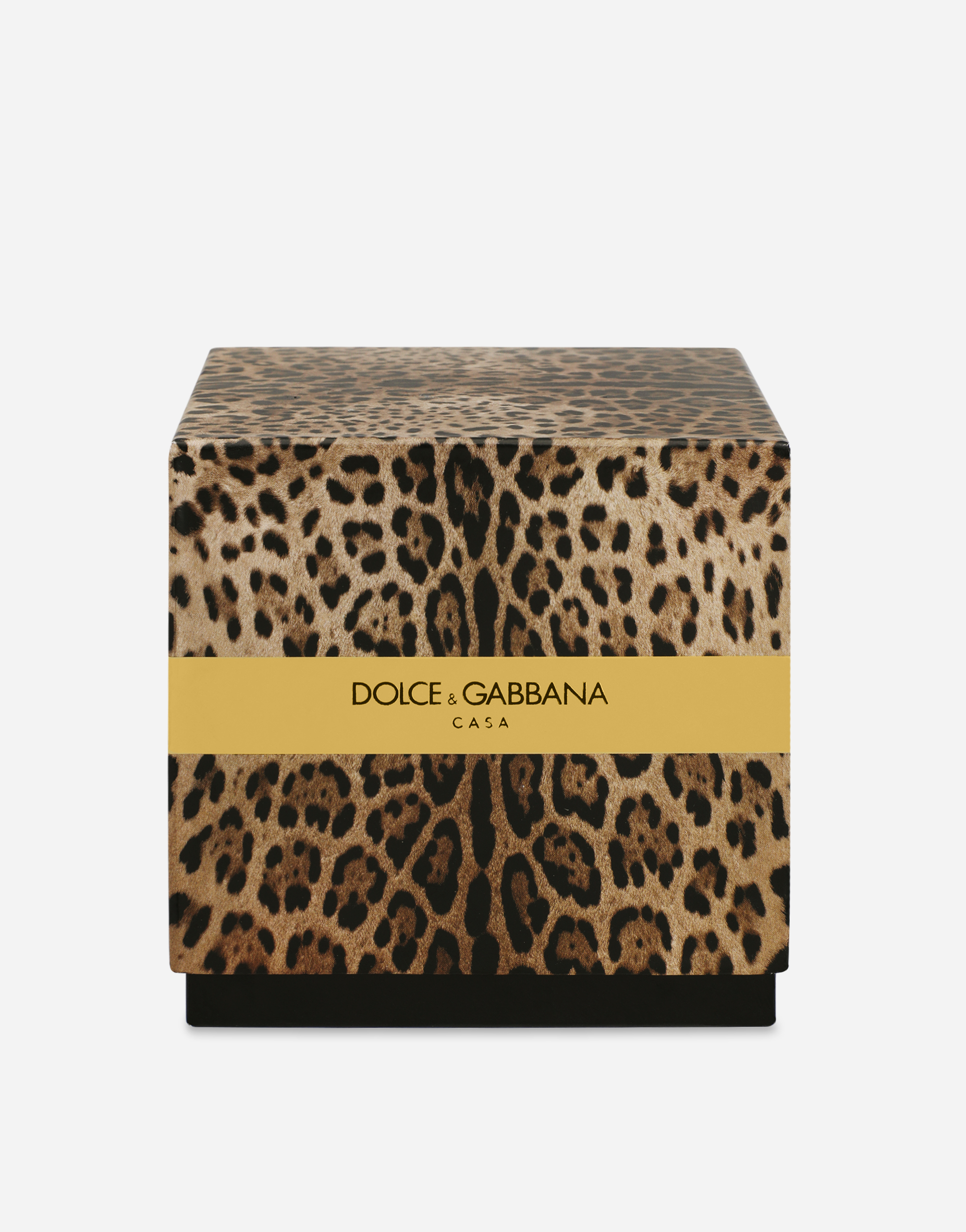 Shop Dolce & Gabbana Scented Candle - Patchouli In Multicolor