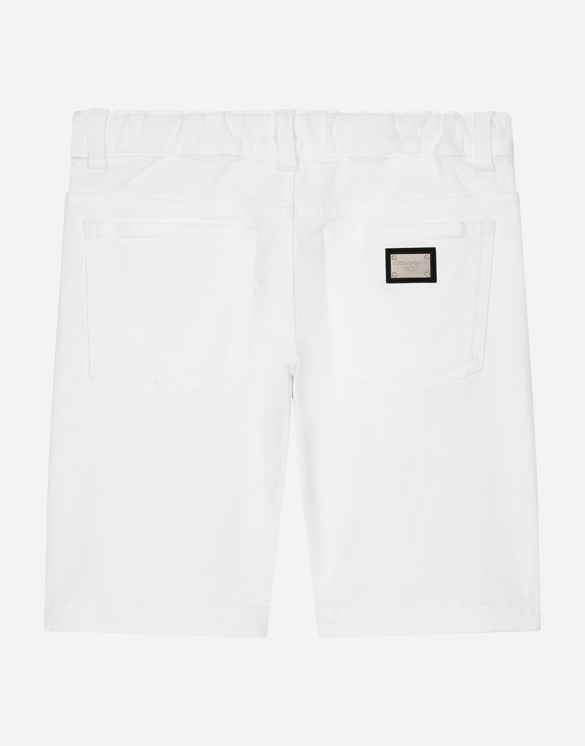 Dolce & Gabbana Bermuda In Multicolor