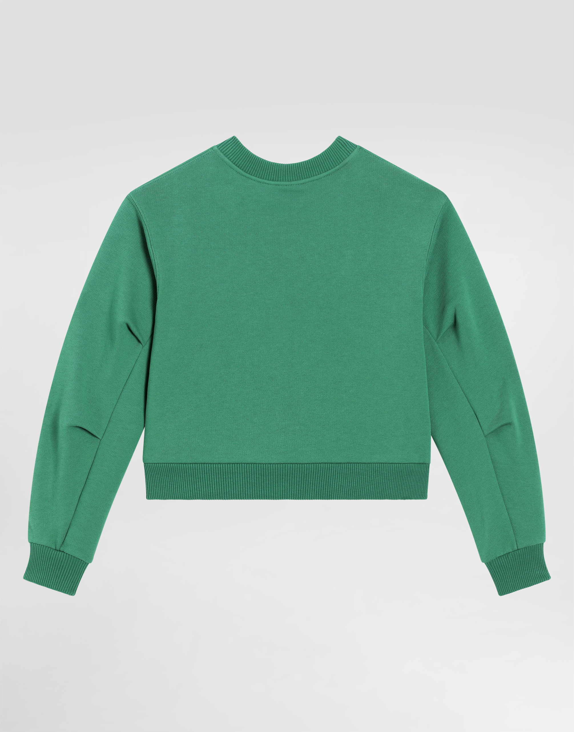 Dolce & Gabbana Round-neck Sweatshirt With Flower And Dg Logo In Green