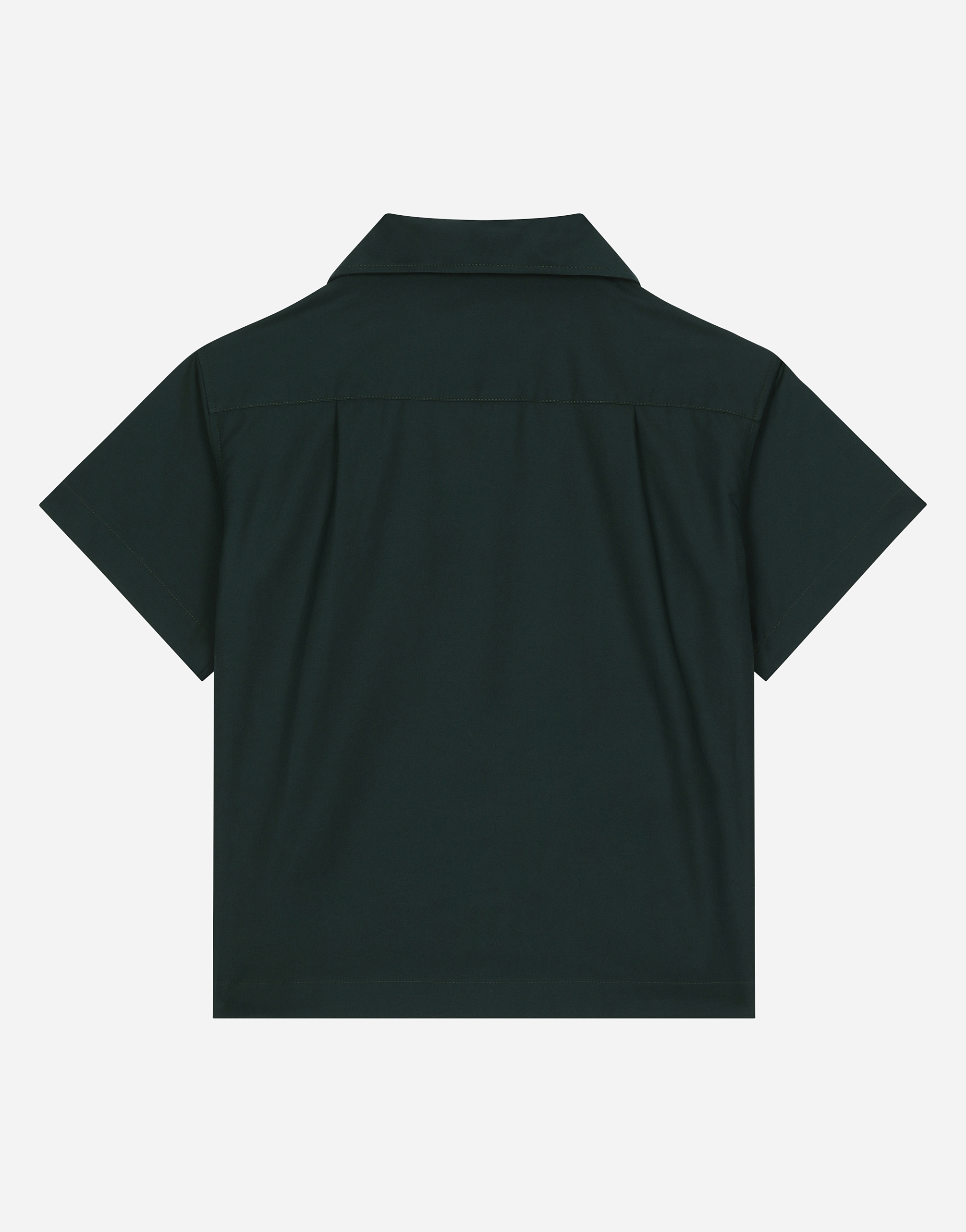 Dolce & Gabbana Poplin Buttoned Shirt In Green