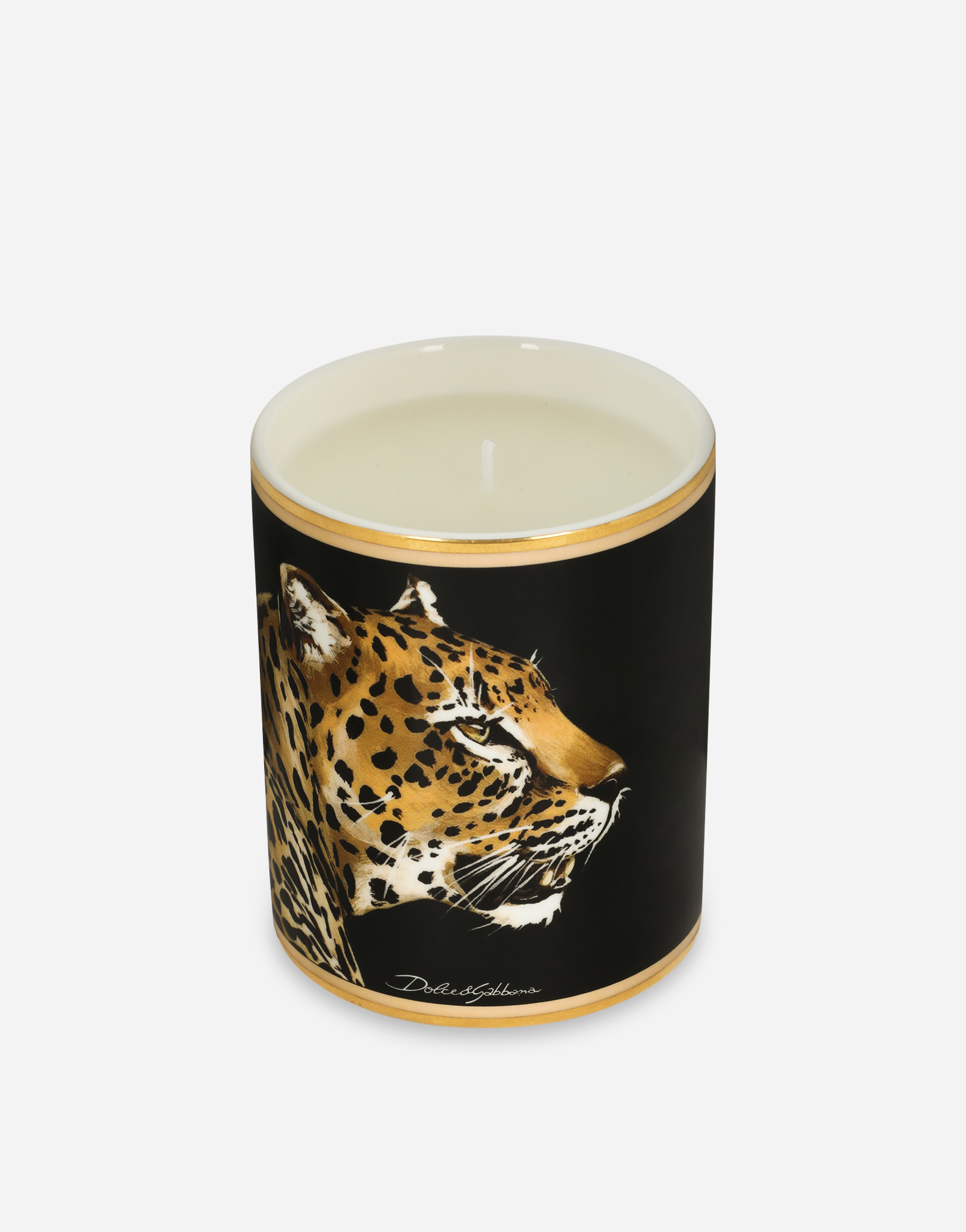 Shop Dolce & Gabbana Porcelain Scented Candle – Patchouli In Multicolor