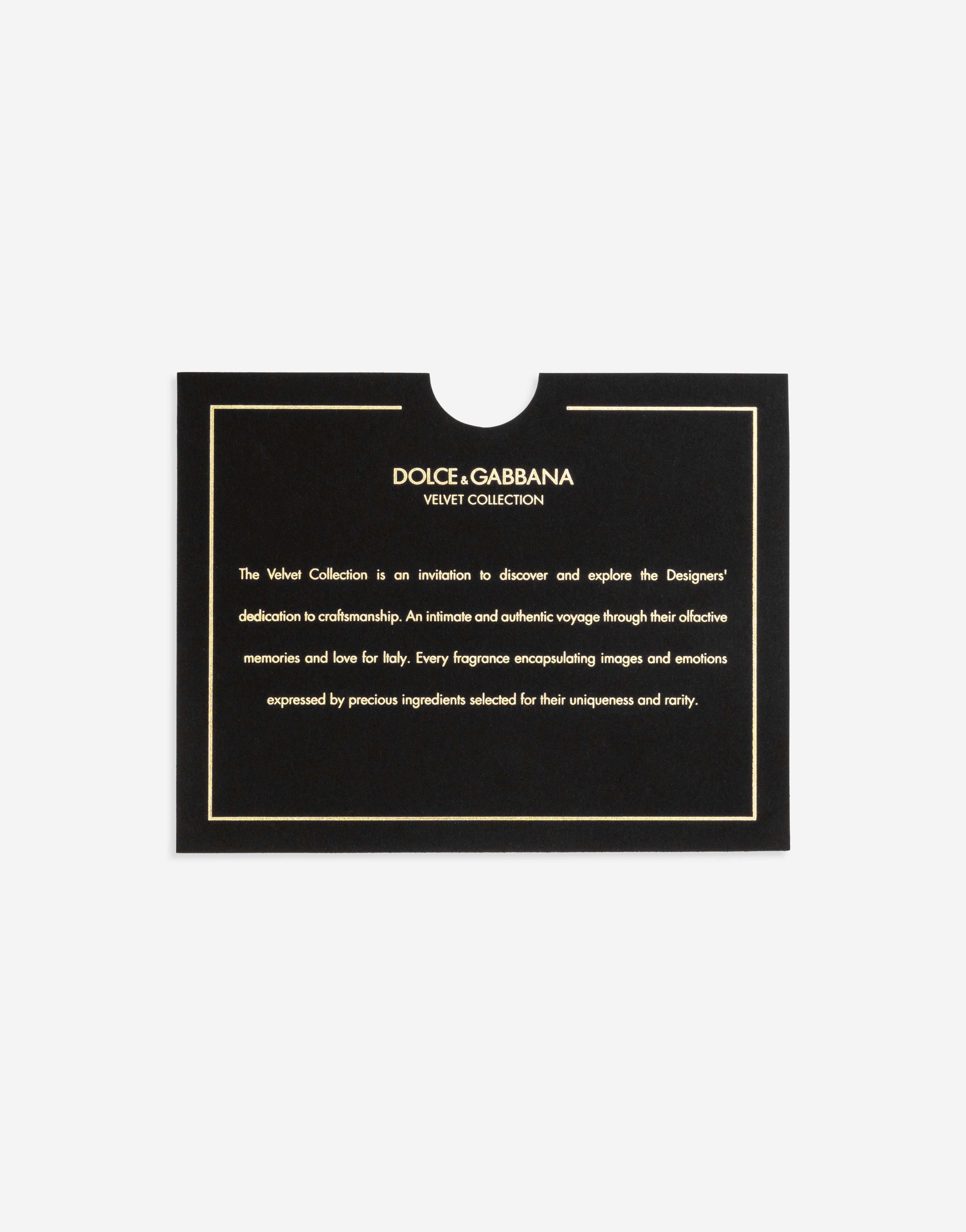 Dolce & Gabbana Velvet Collection Opulent Discovery Set
