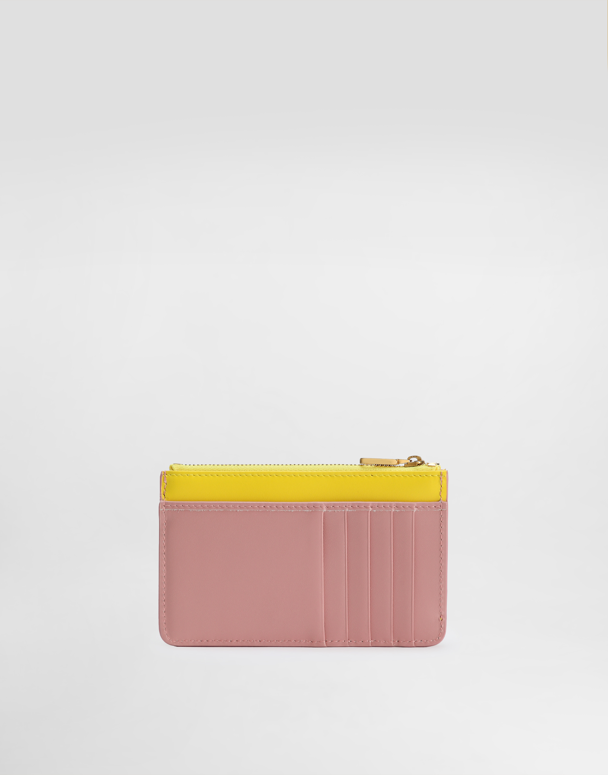 Dolce & Gabbana Calfskin Card Holder With Dg Logo In Multicolor