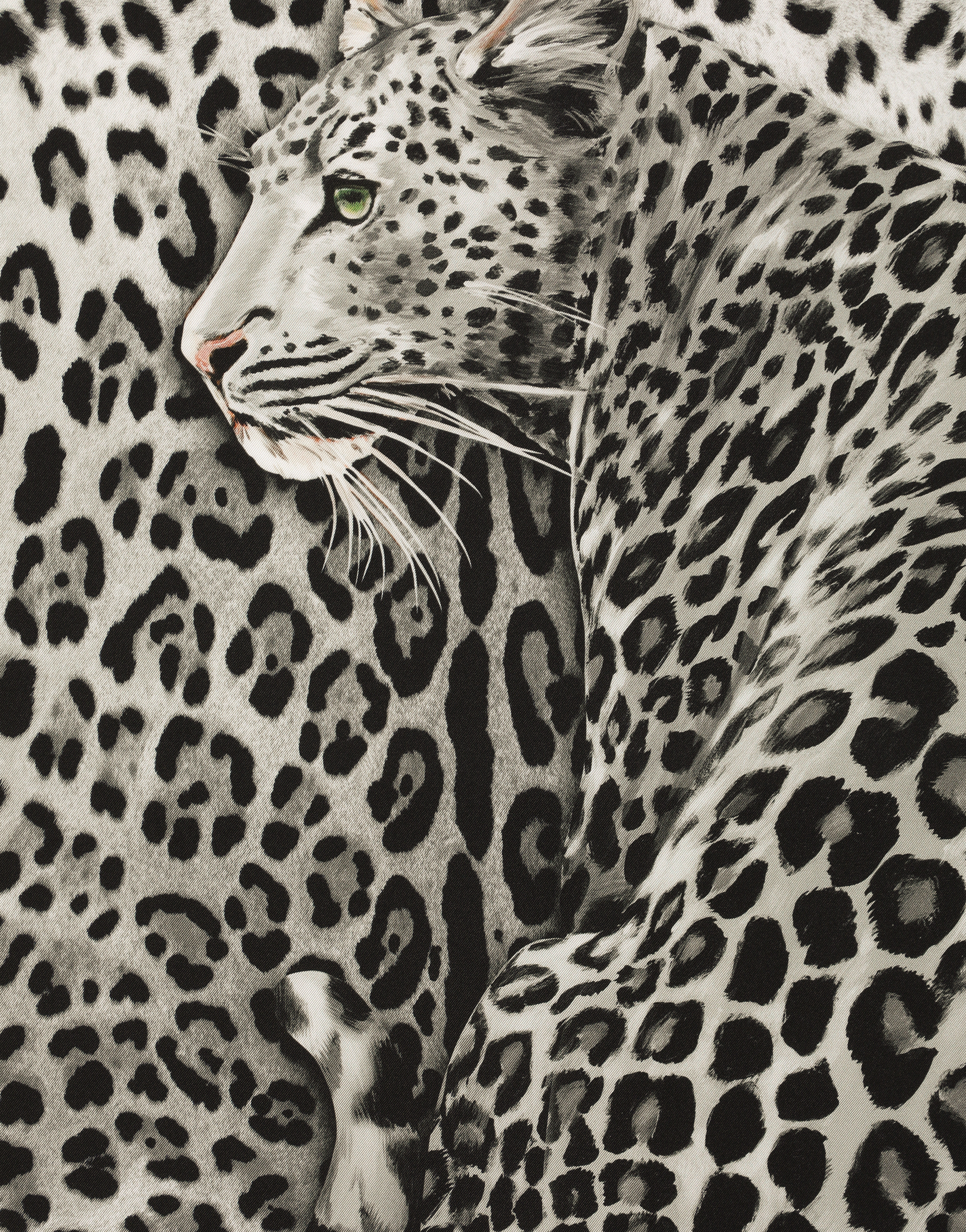 Dolce & Gabbana Leopard-print Silk Twill Foulard (70x70) In プリ