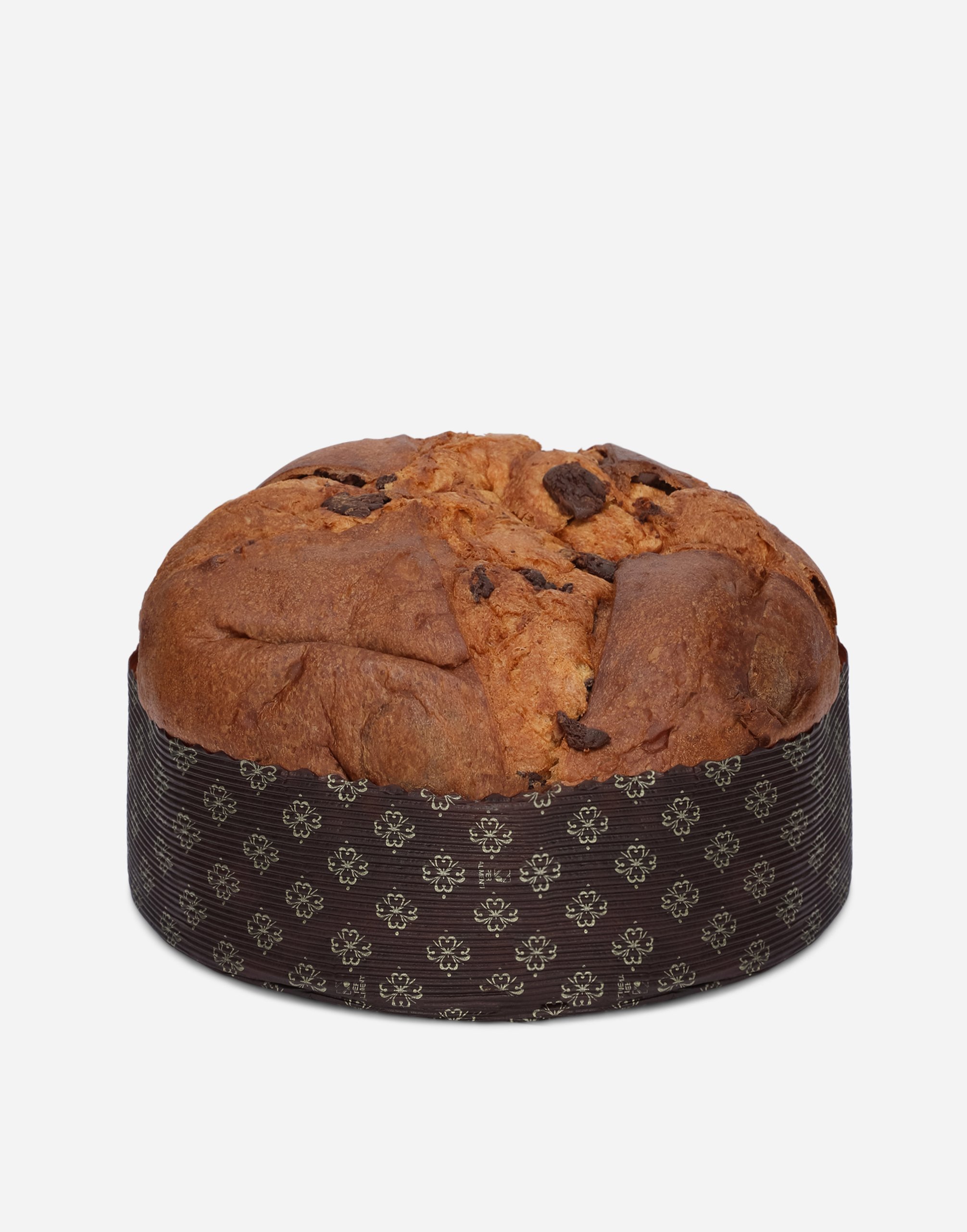 Chocolate Panettone