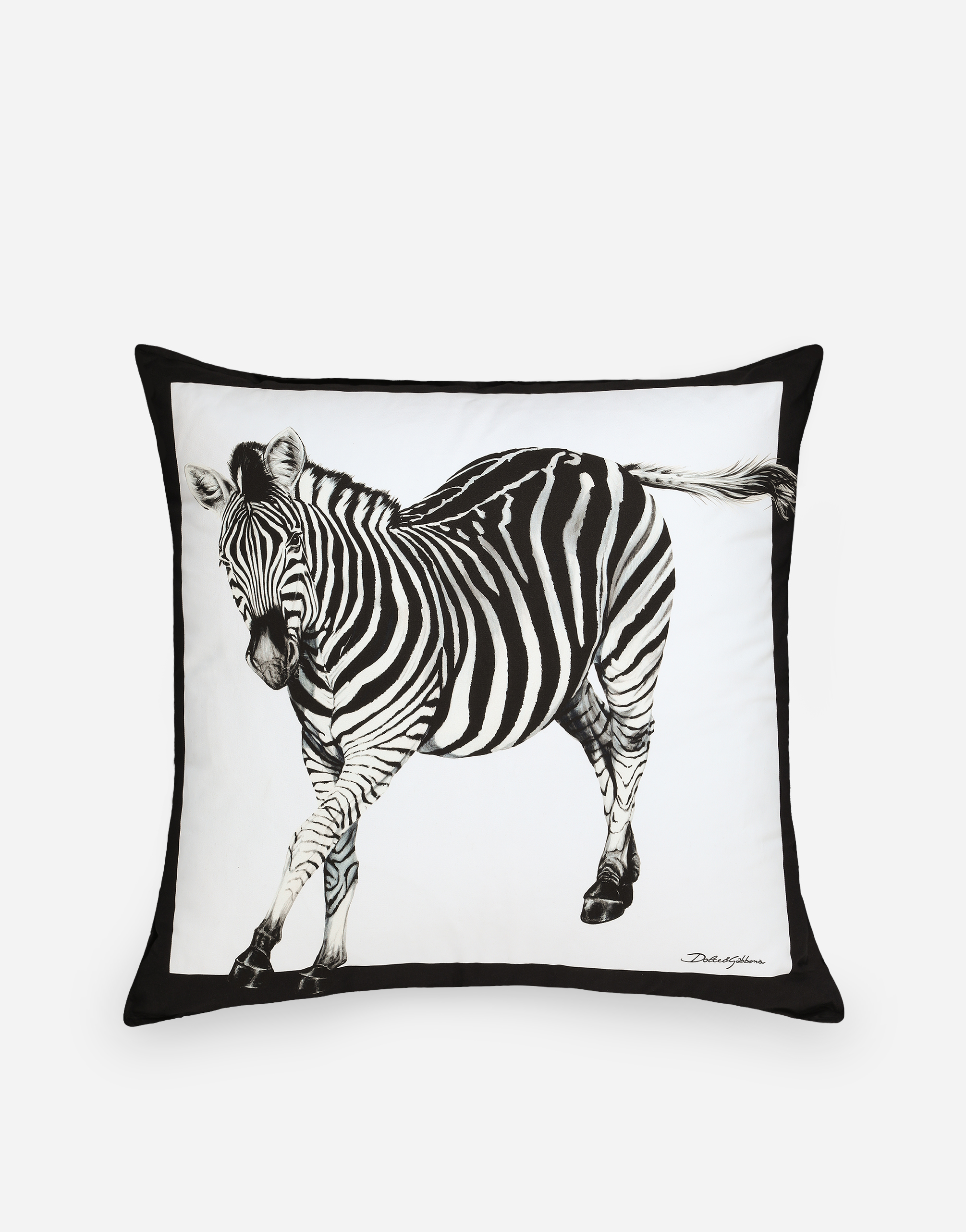 Dolce & Gabbana Canvas Cushion Large Multicolor Unisex Onesize In Multicolor
