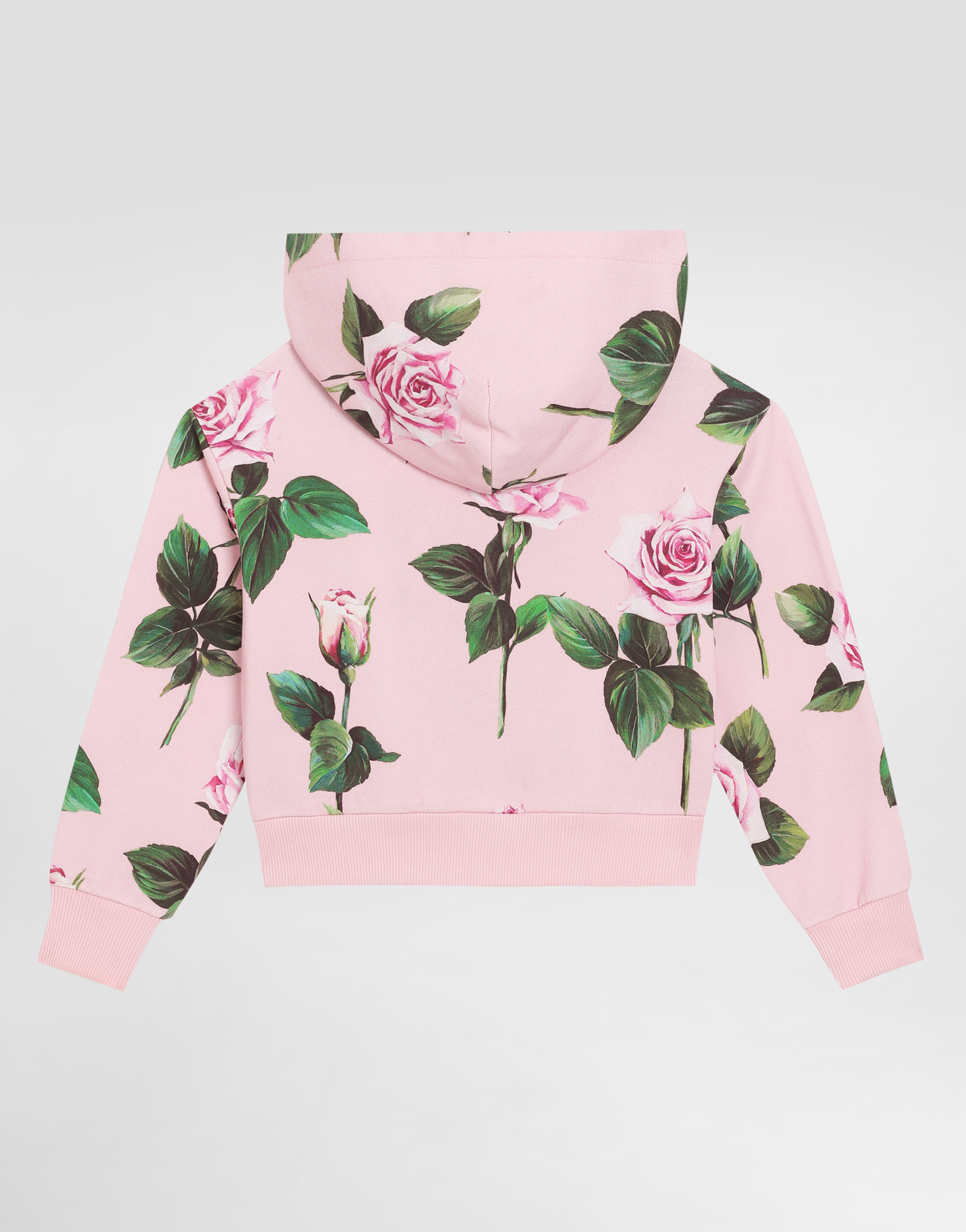 Dolce & Gabbana Hoodie With Rose Print In Print