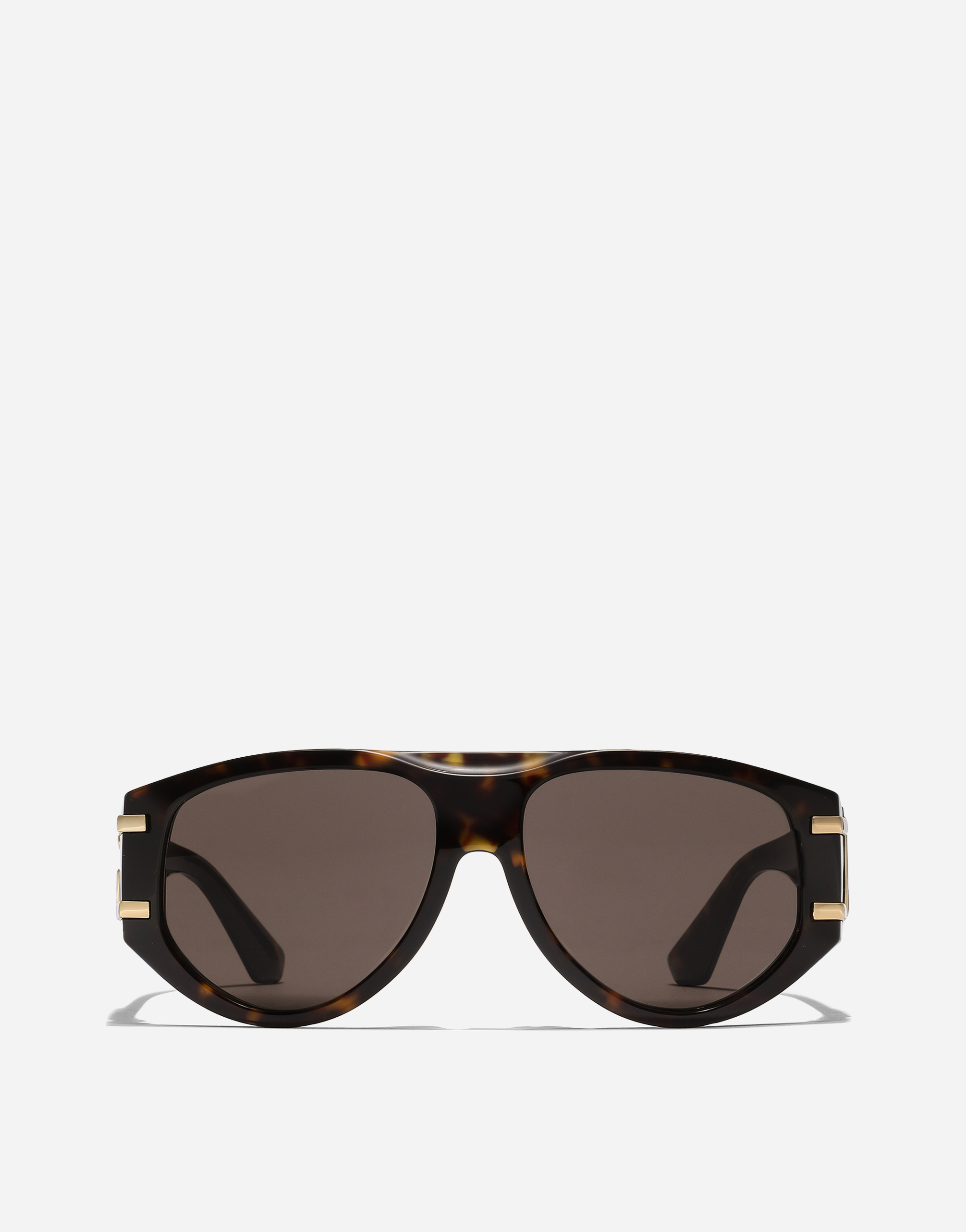 Dolce & Gabbana Dg Griffe Sunglasses In Havana