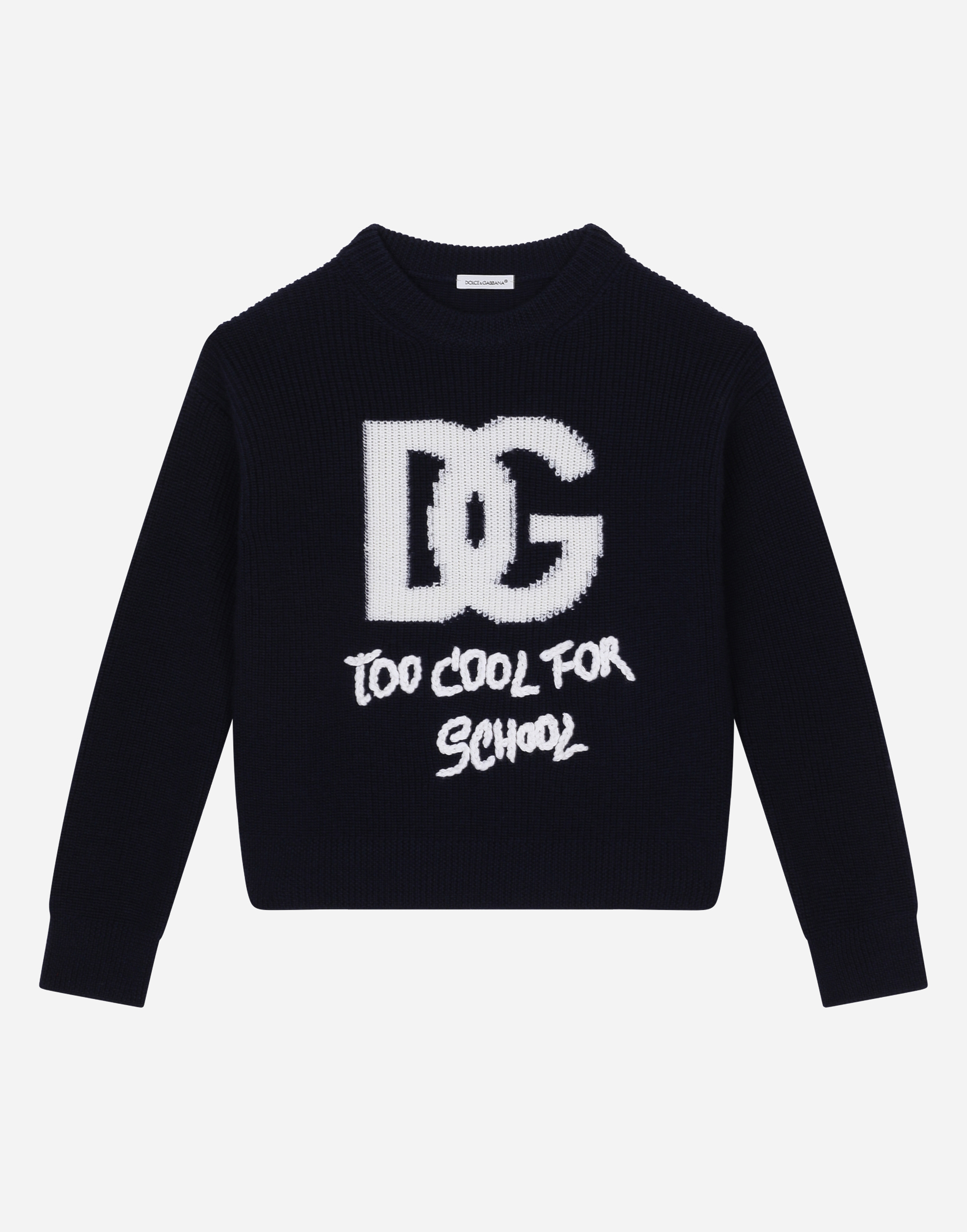 Dolce & Gabbana Round-neck Sweater With Dg Logo Inlay In Multicolor