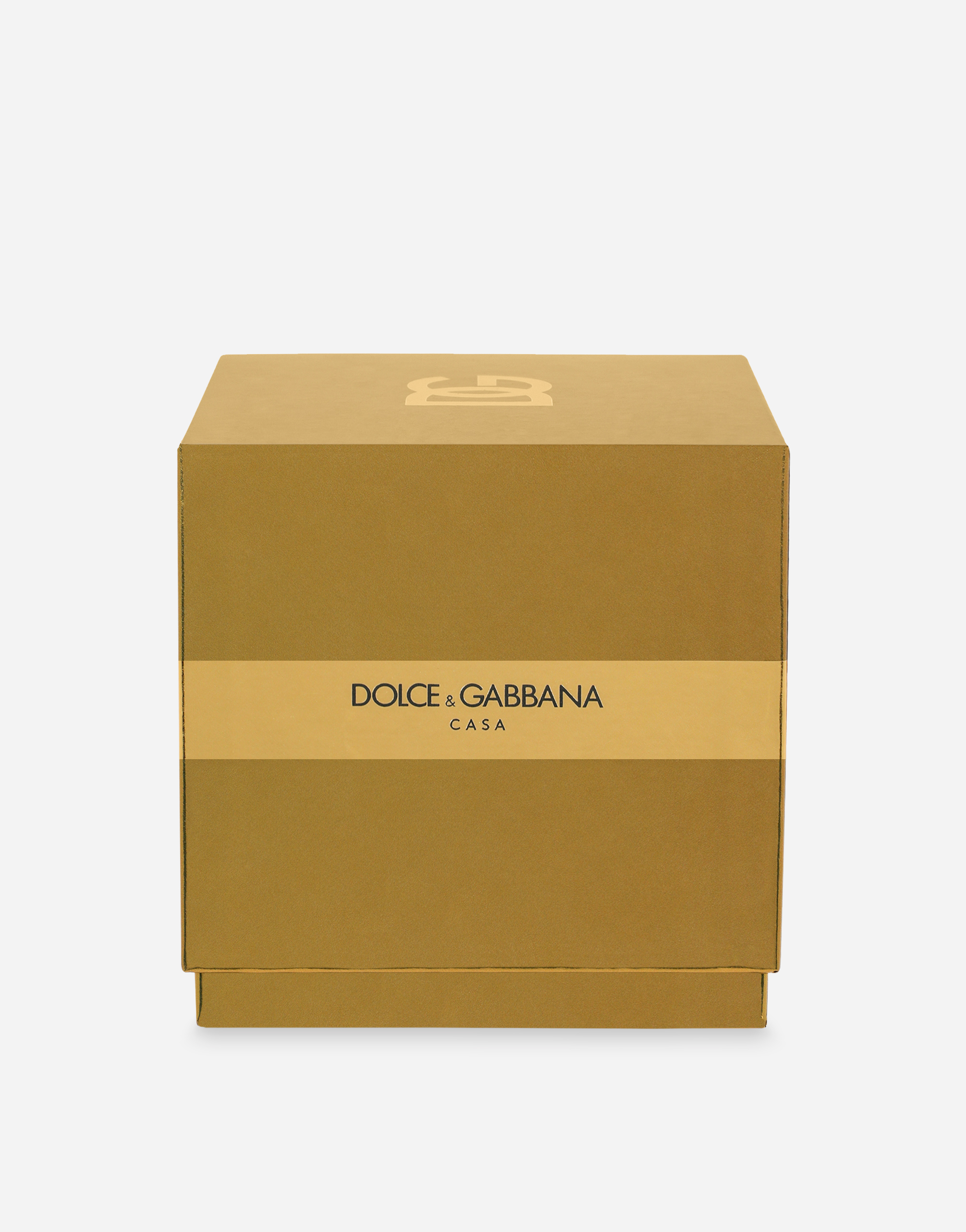 Shop Dolce & Gabbana Candela Profumata In Multicolor