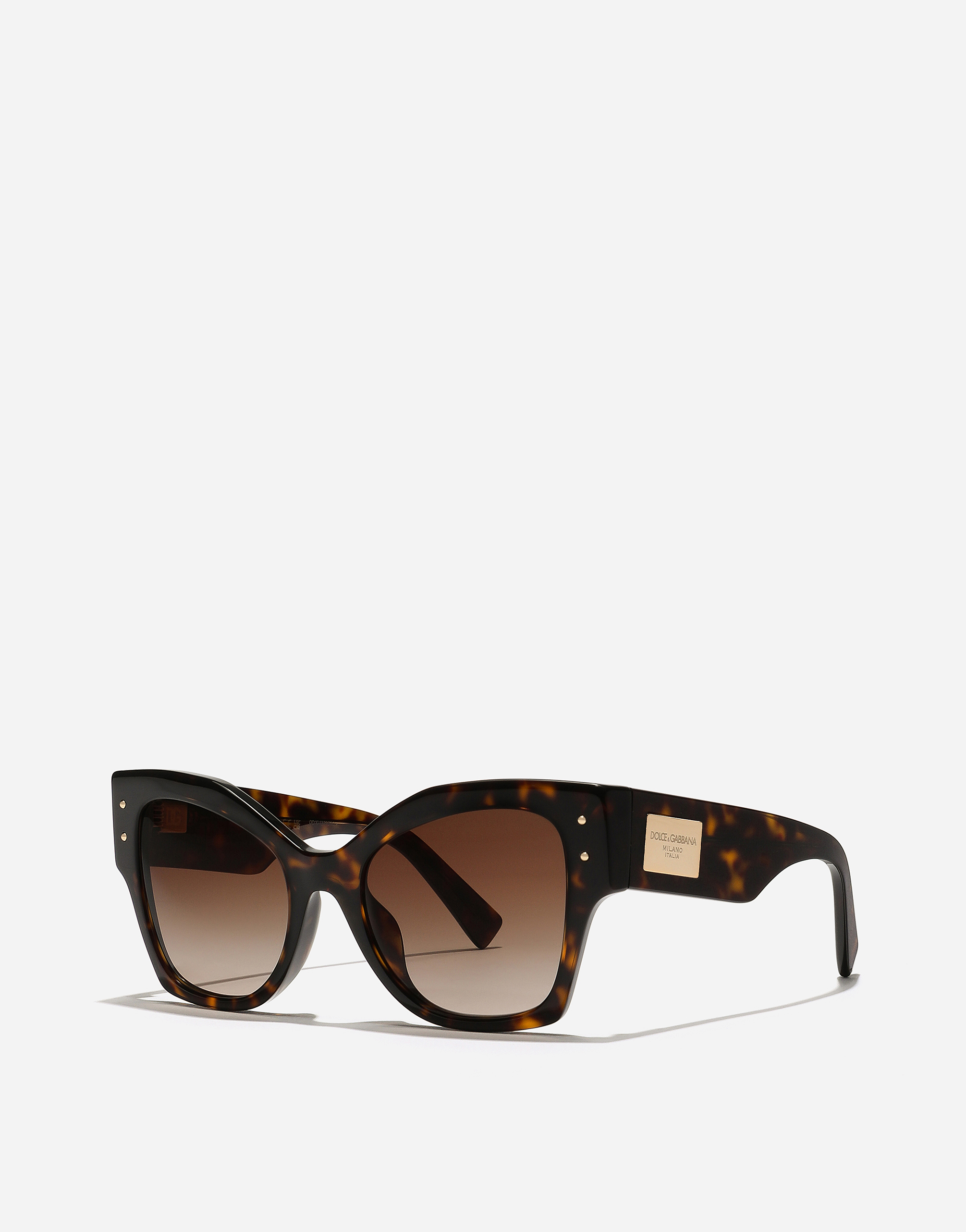 Dolce & Gabbana Dg Logo Plaque Sunglasses In Havana