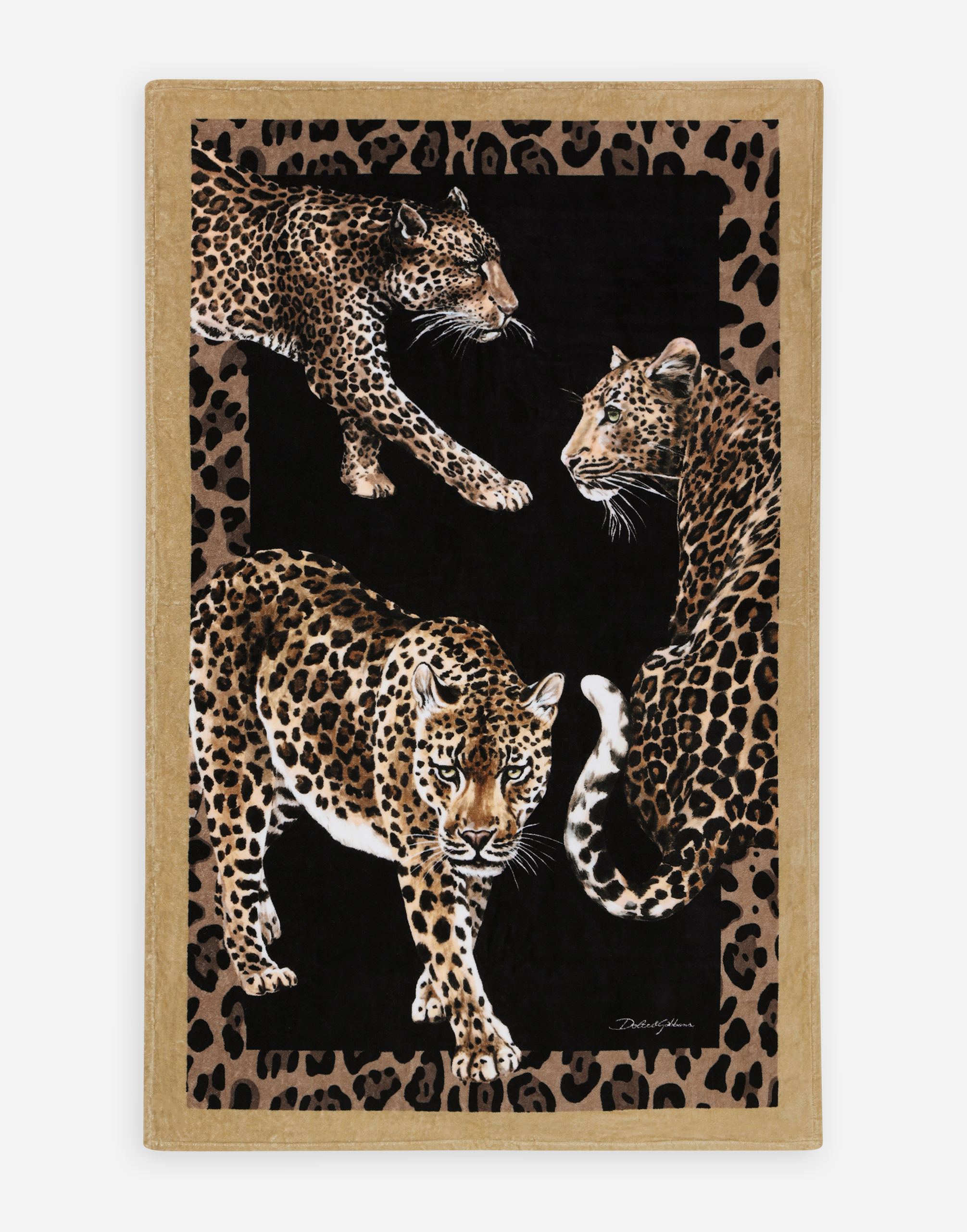 Dolce & Gabbana Terry Cotton Beach Towel In Multicolor