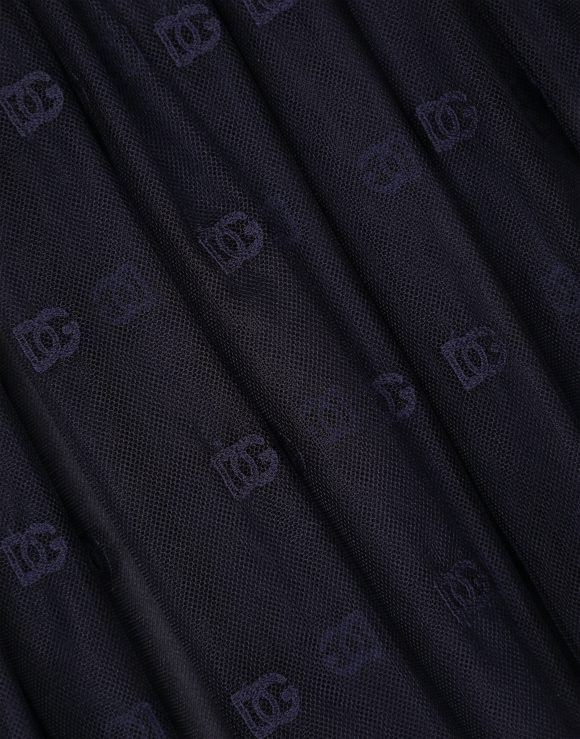 Dolce & Gabbana Embroidered Tulle Skirt In Blue