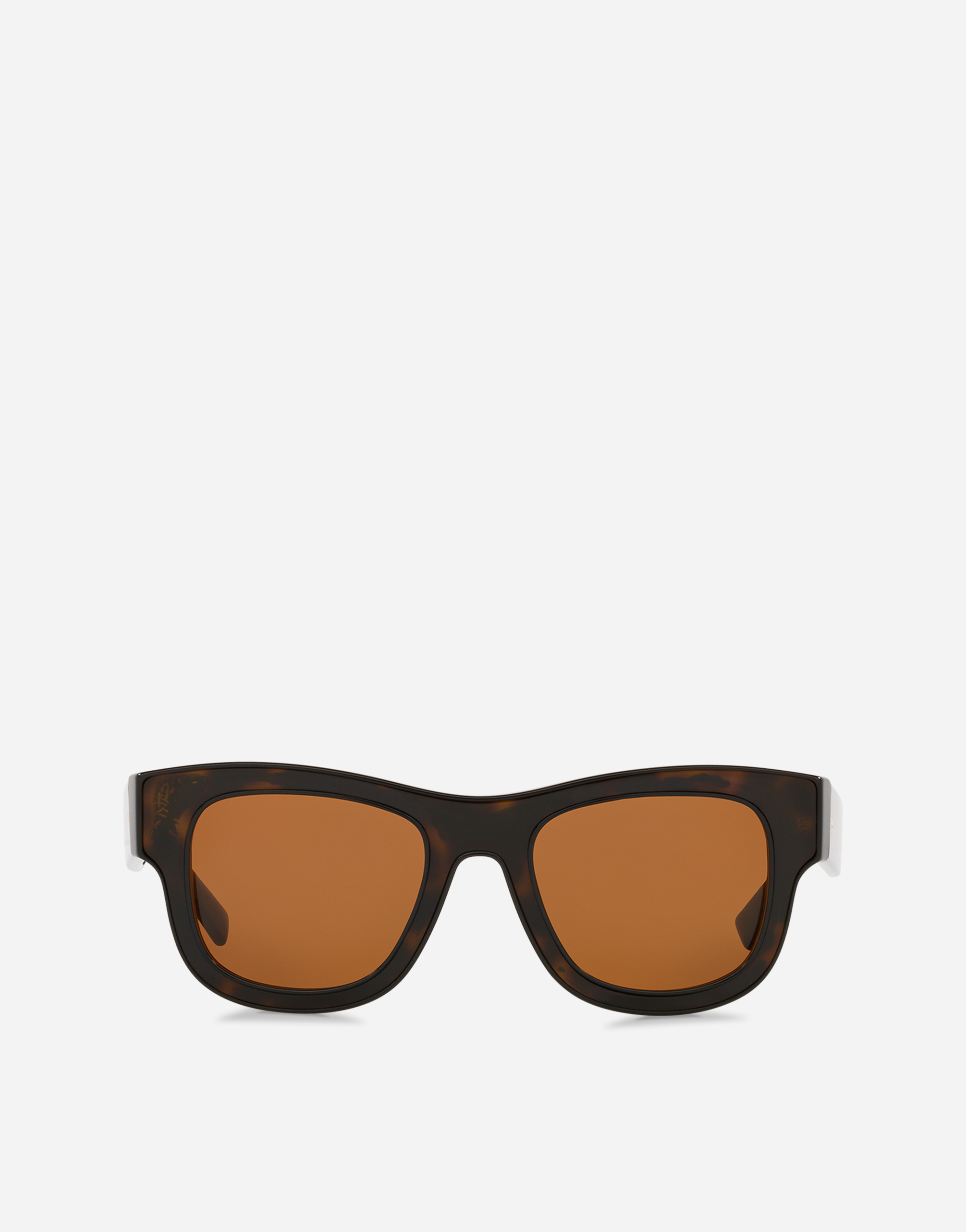 Dolce & Gabbana Male Havana Domenico Deep Sunglasses - Man Icons Onesize