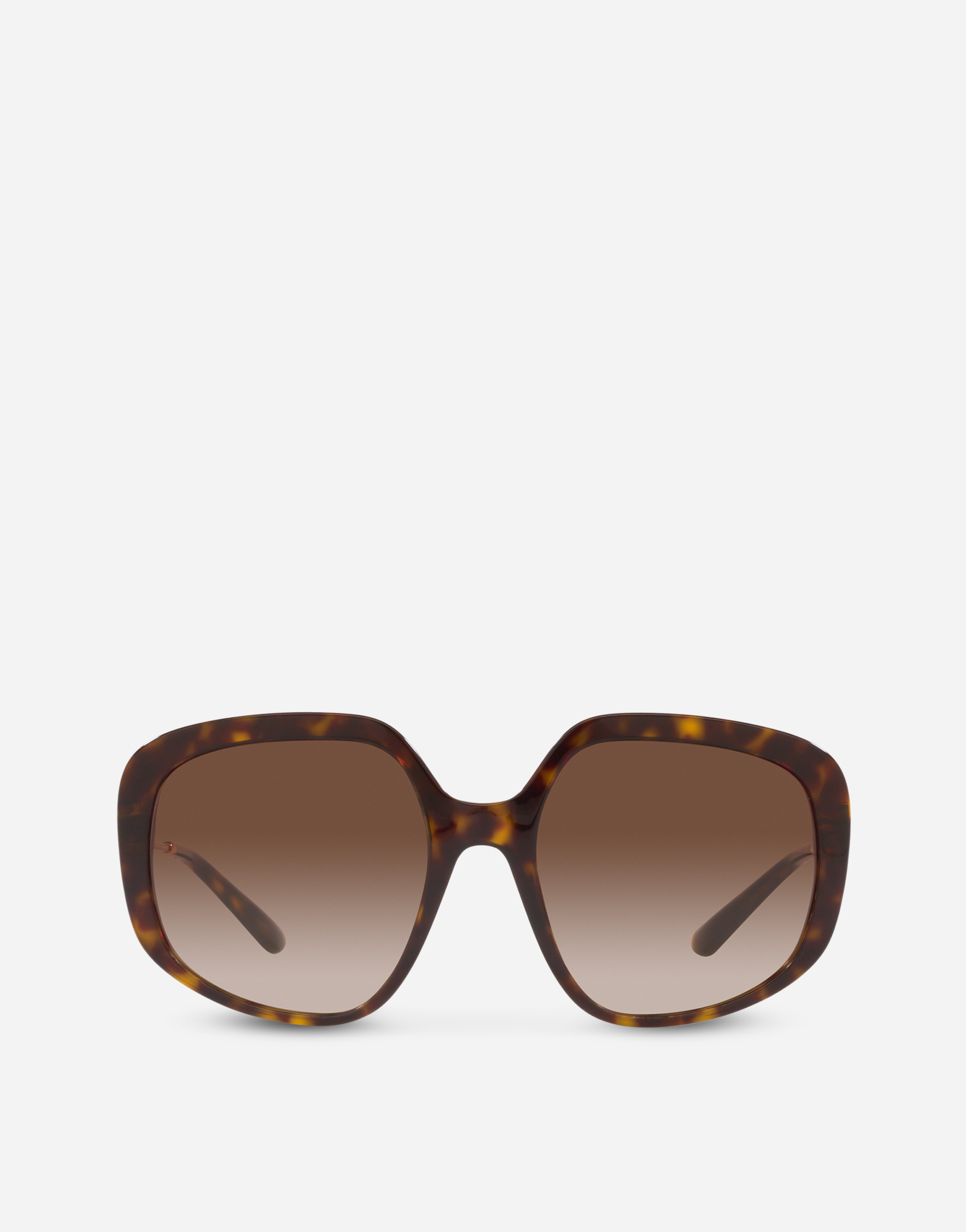 DD Light sunglasses in Havana for Women | Dolce&Gabbana® US