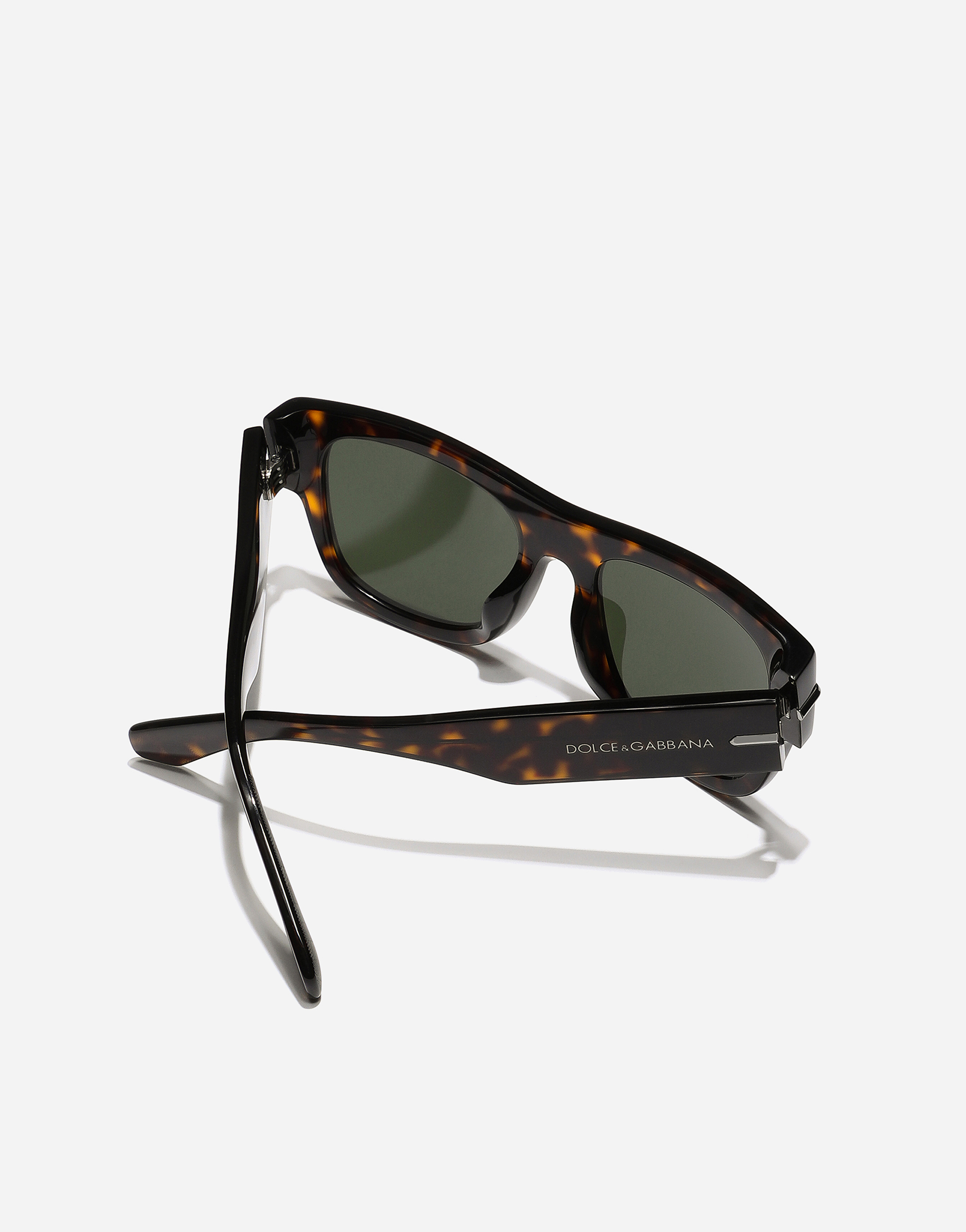 Dolce & Gabbana Dg Signature Sunglasses In Havana