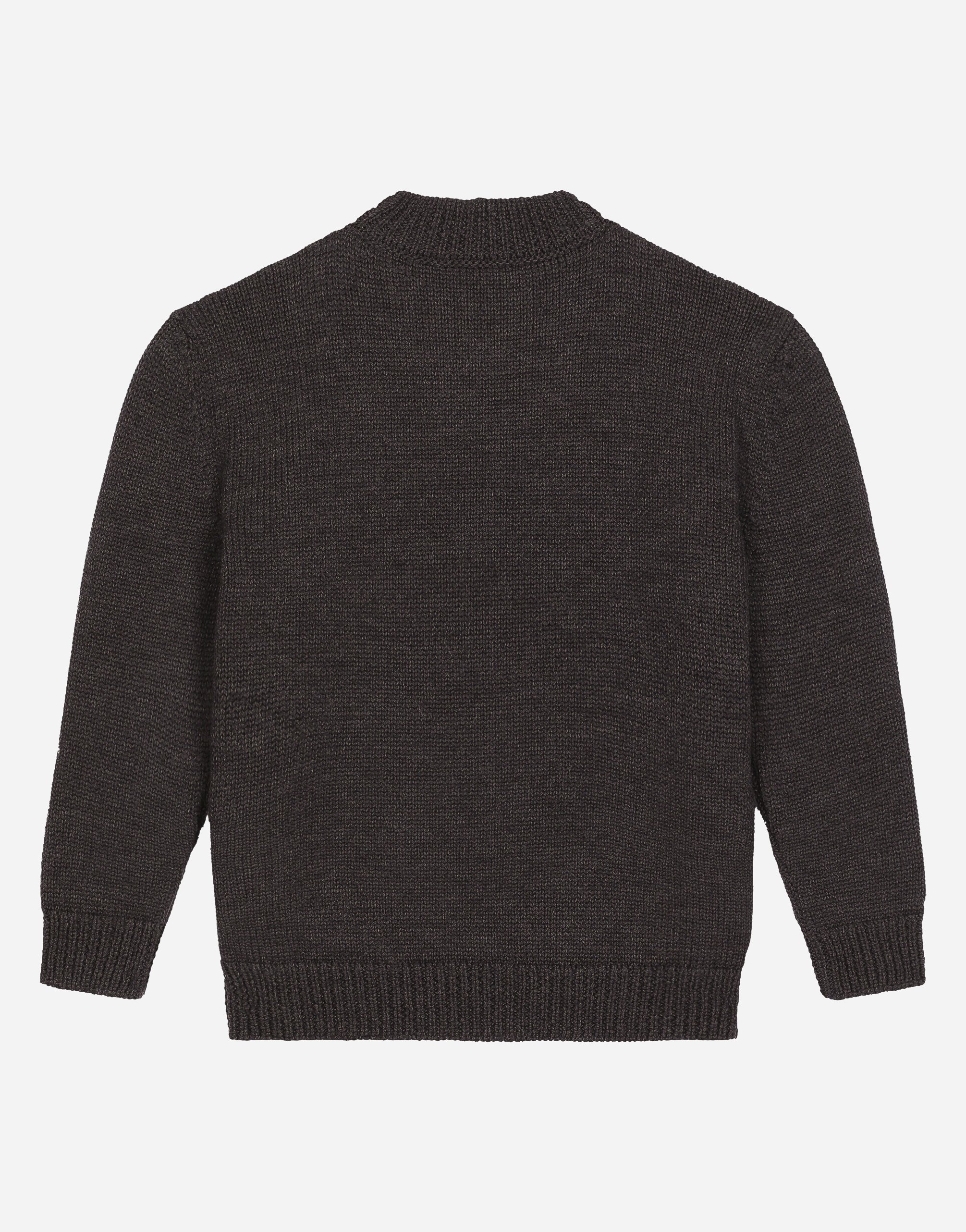 Dolce & Gabbana Wool Round-neck Sweater With Flocked Dg Logo In Multicolor