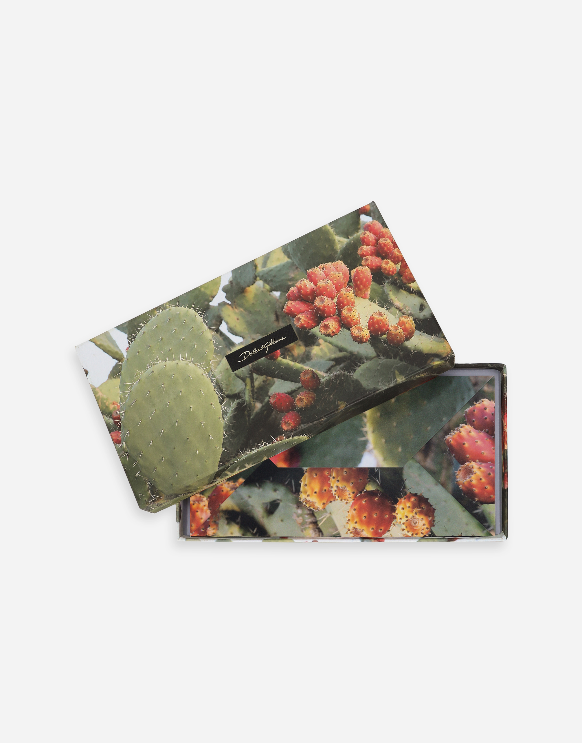 Dolce & Gabbana Set 5 Greeting Cards With Matching Envelopes In Multicolor