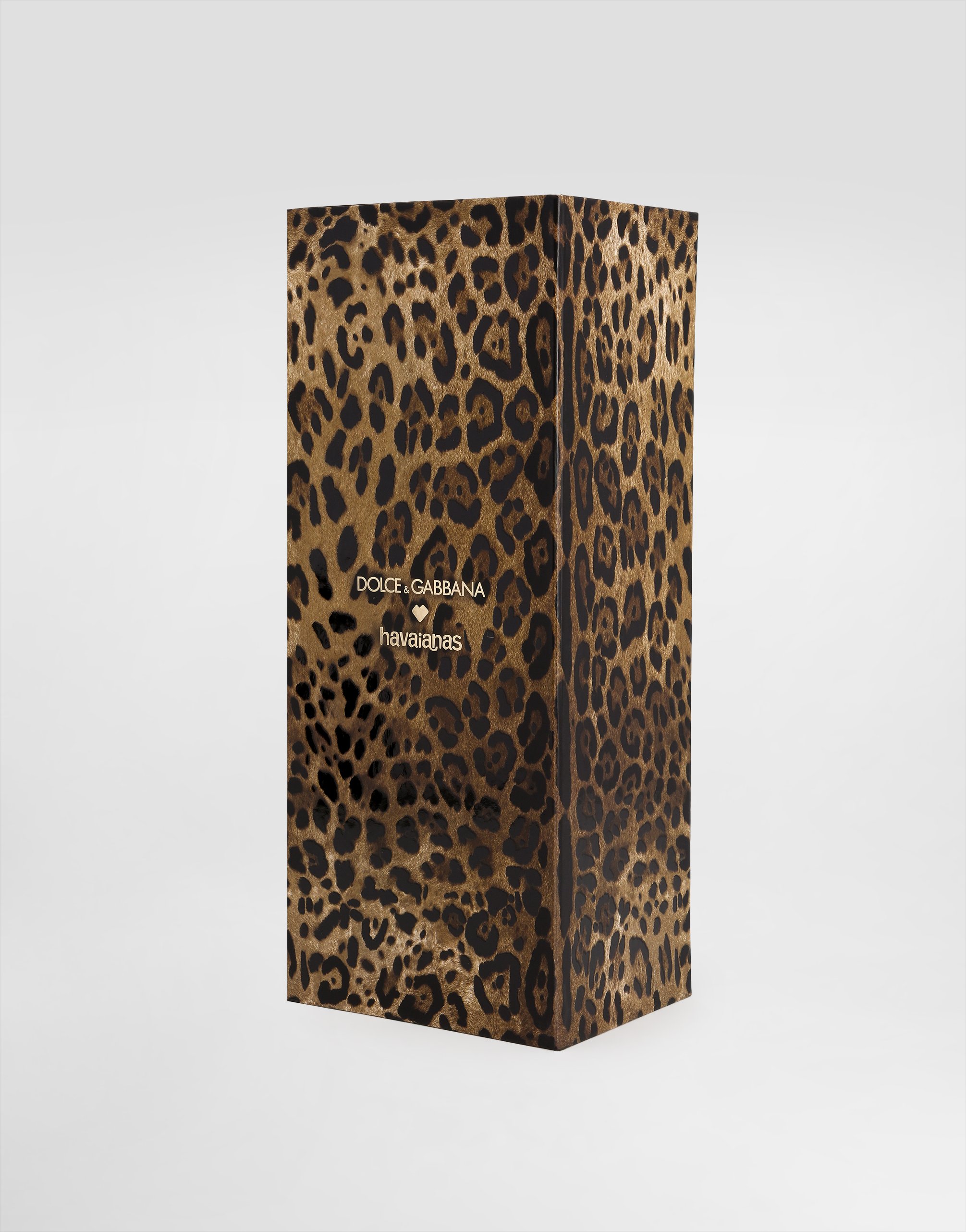 Dolce & Gabbana Dolce&gabbana X Havaianas Flip-flop Leopard In Black