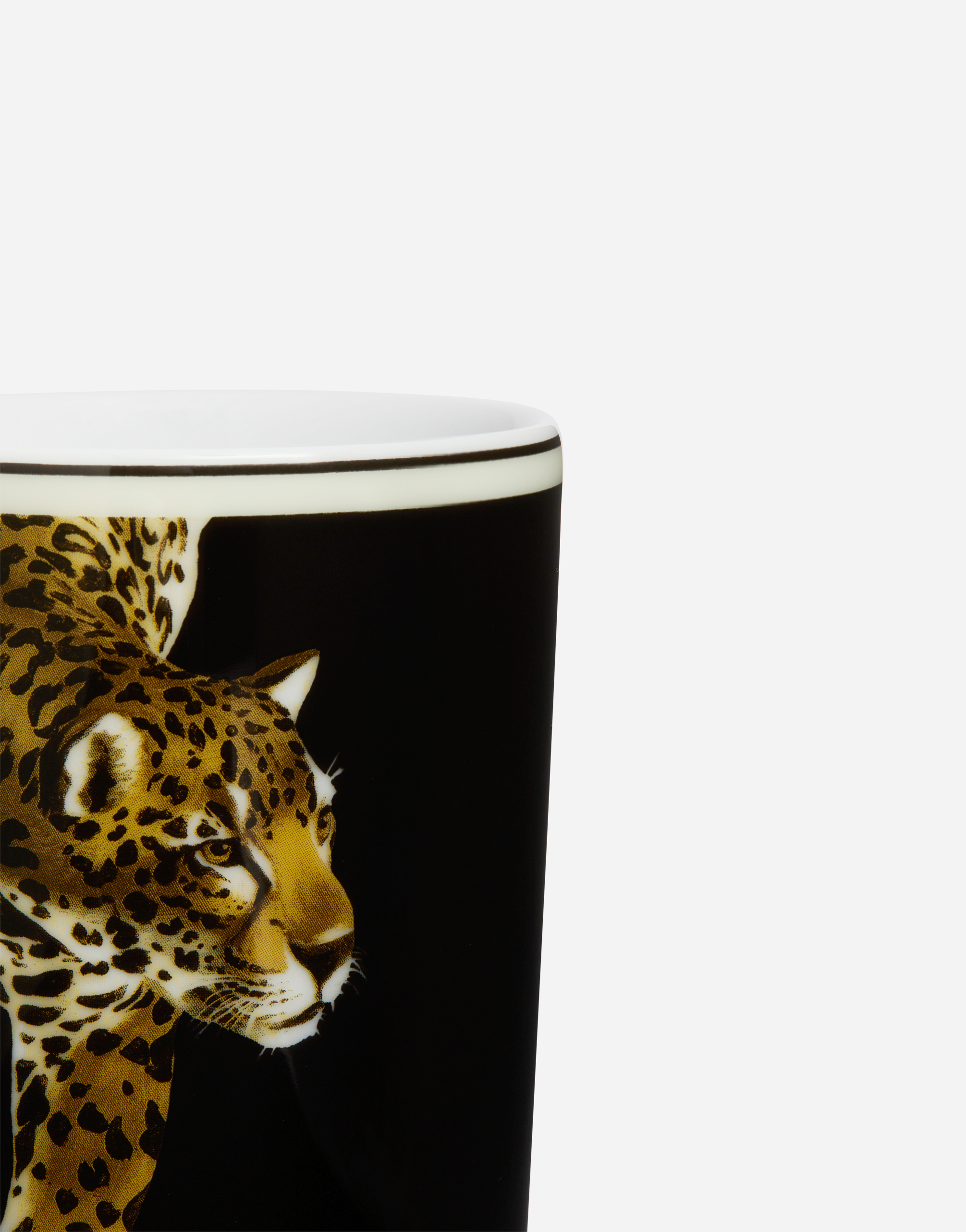 Dolce & Gabbana Porcelain Water Glass In Multicolor