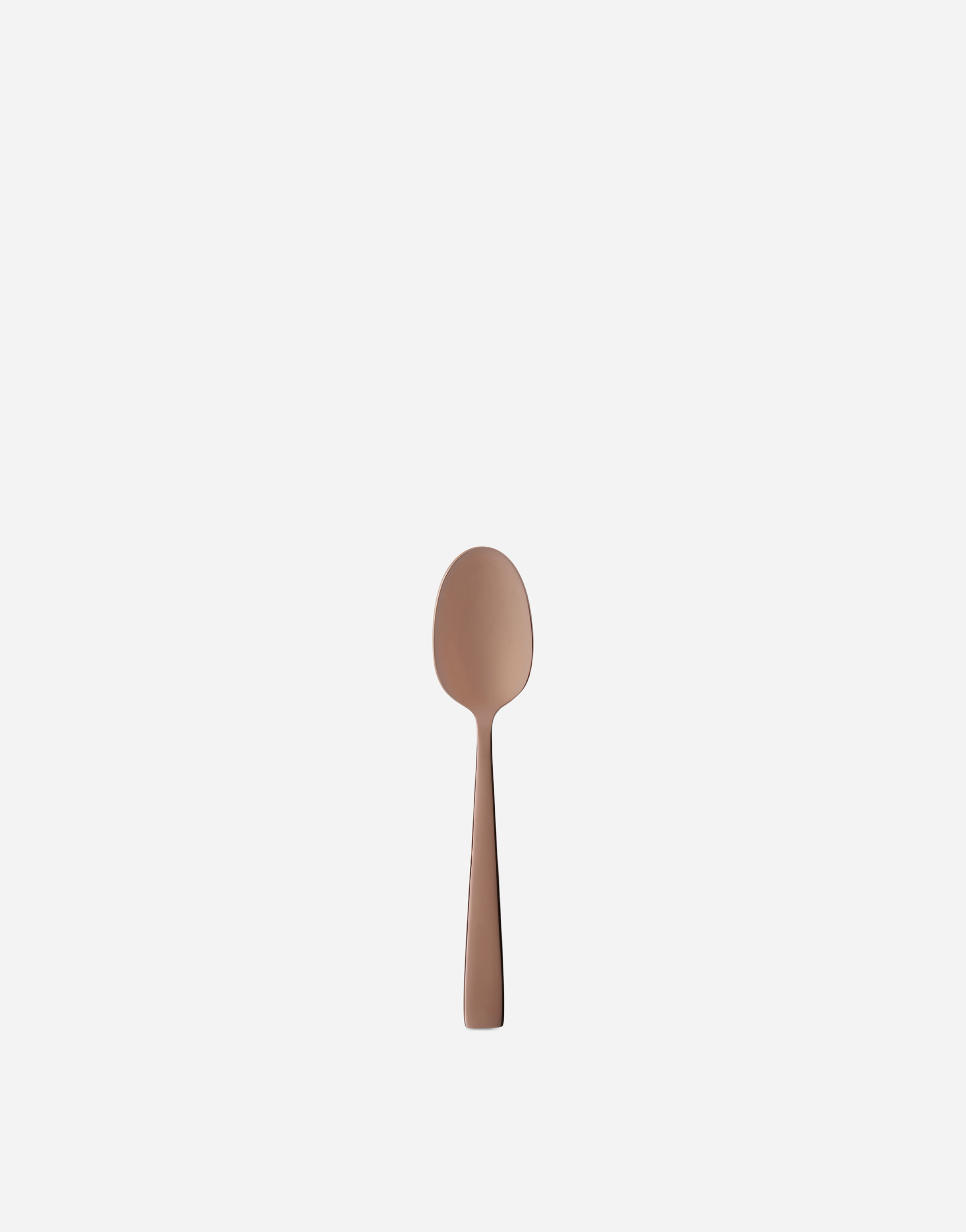 Dolce & Gabbana Set 6 Inox Coffee Spoons In Multicolor