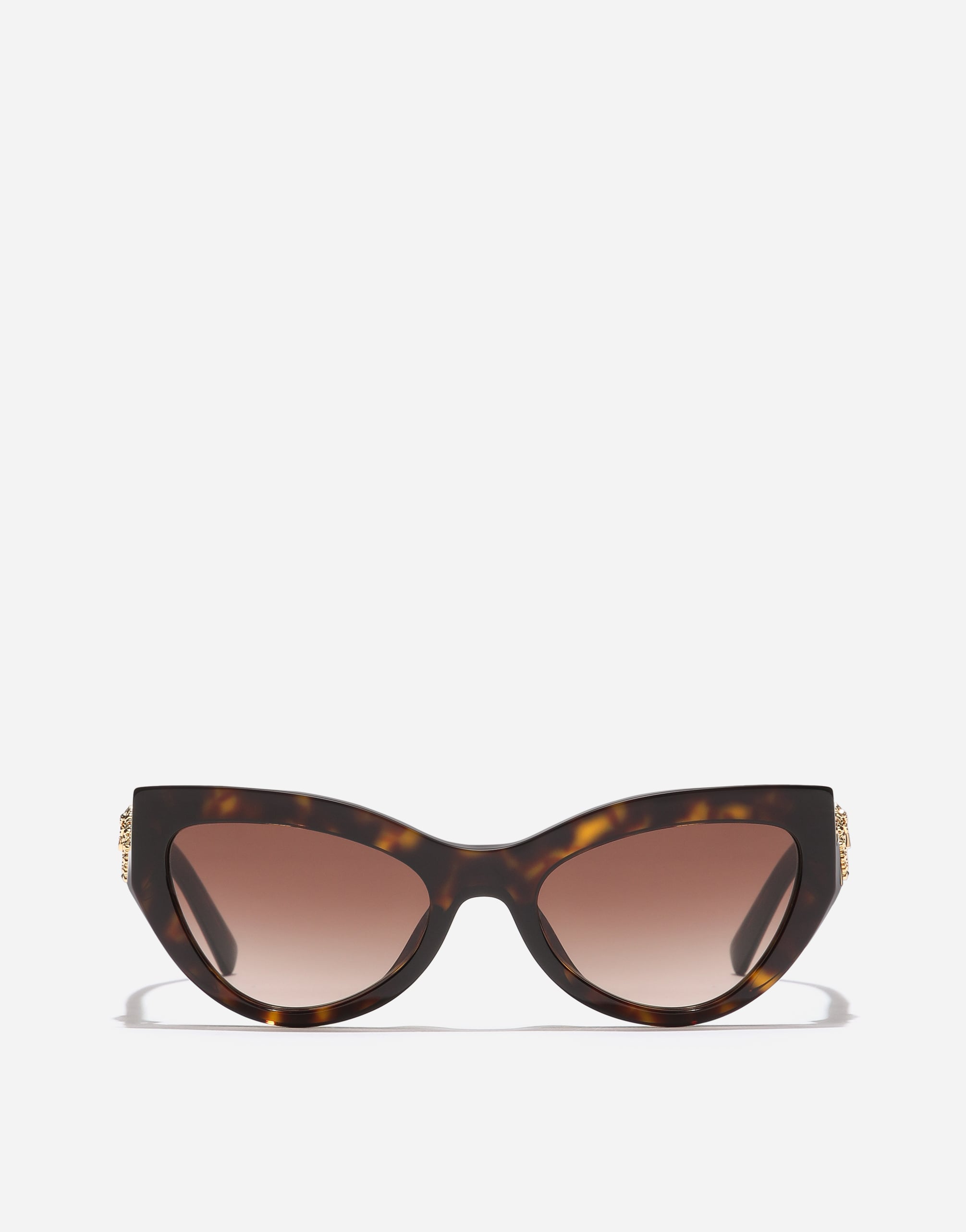 Devotion Sunglasses in Havana for Women | Dolce&Gabbana® US