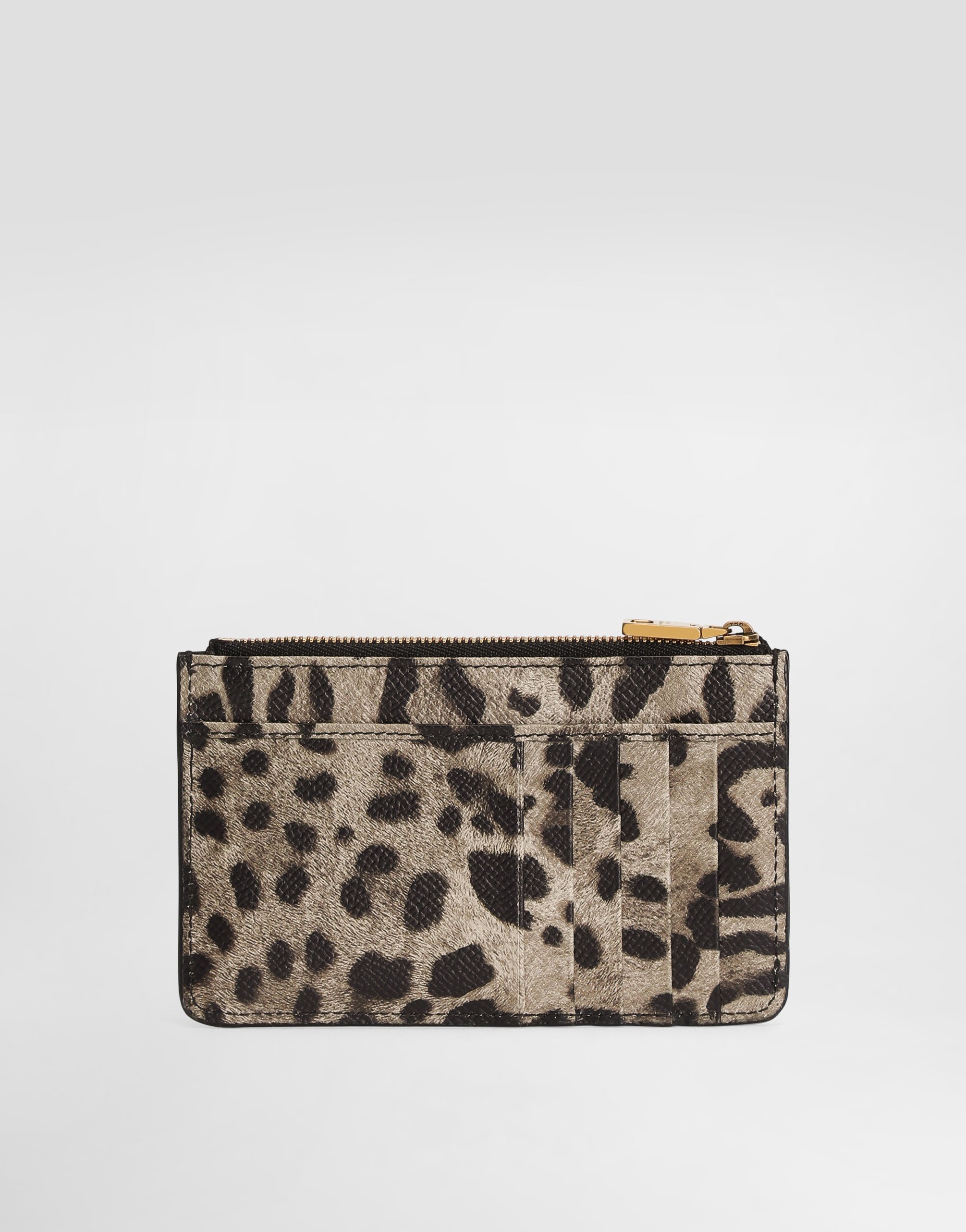 Dolce & Gabbana Leopard-print Dauphine Calfskin Card Holder In Brown