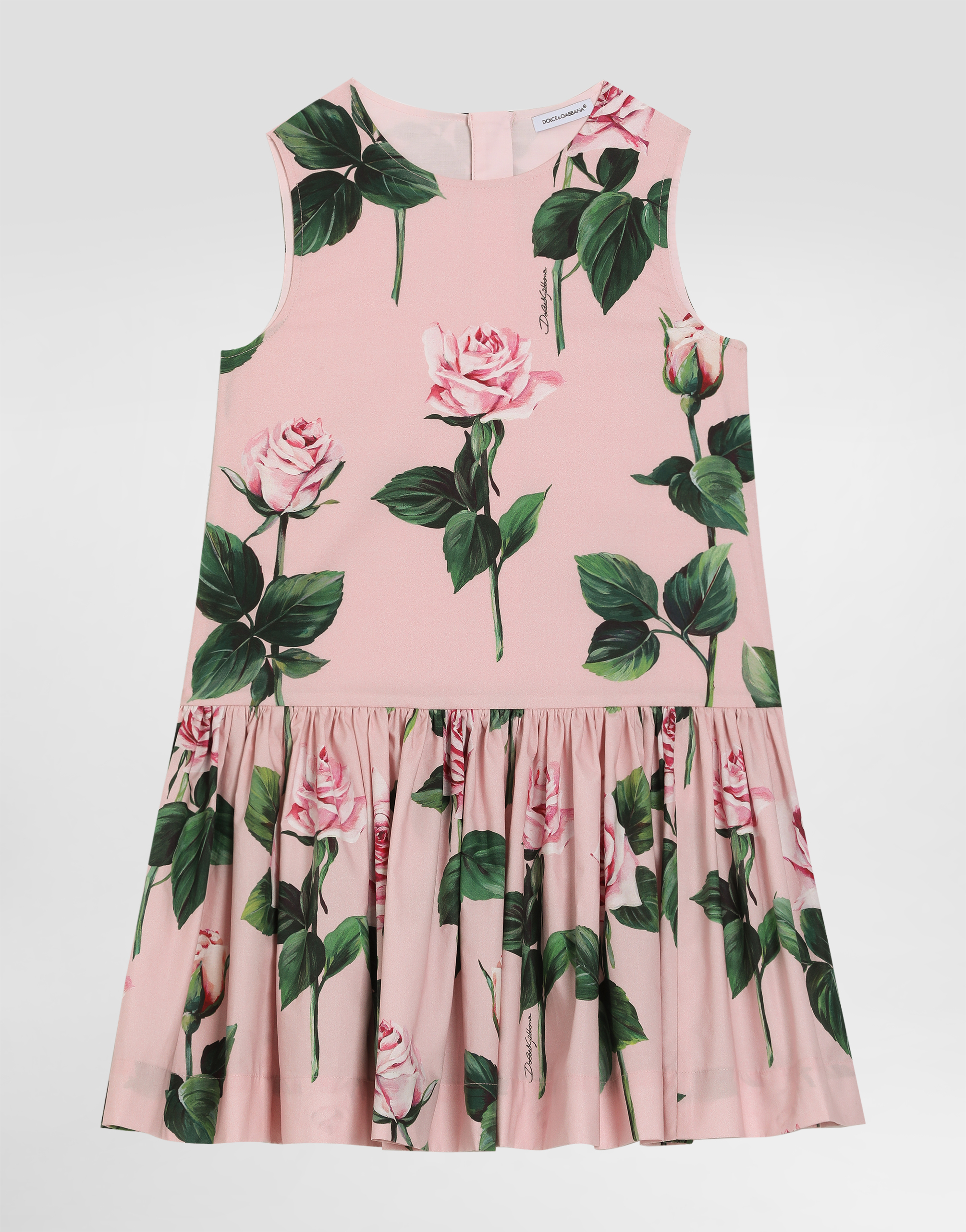 Dolce & Gabbana Rose-print Poplin Dress In Print