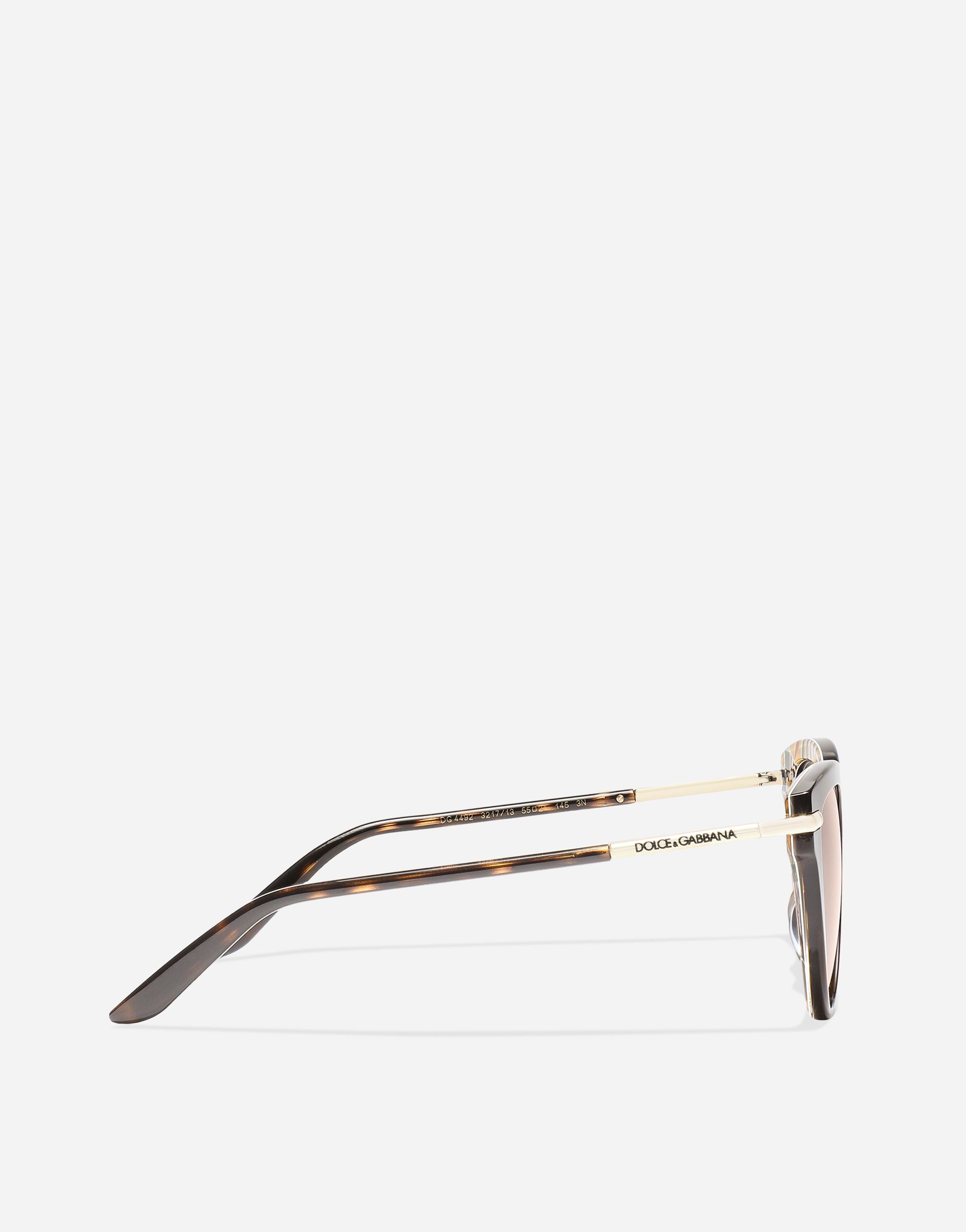 Dolce & Gabbana Dna Sunglasses In Havana On  Carretto Print
