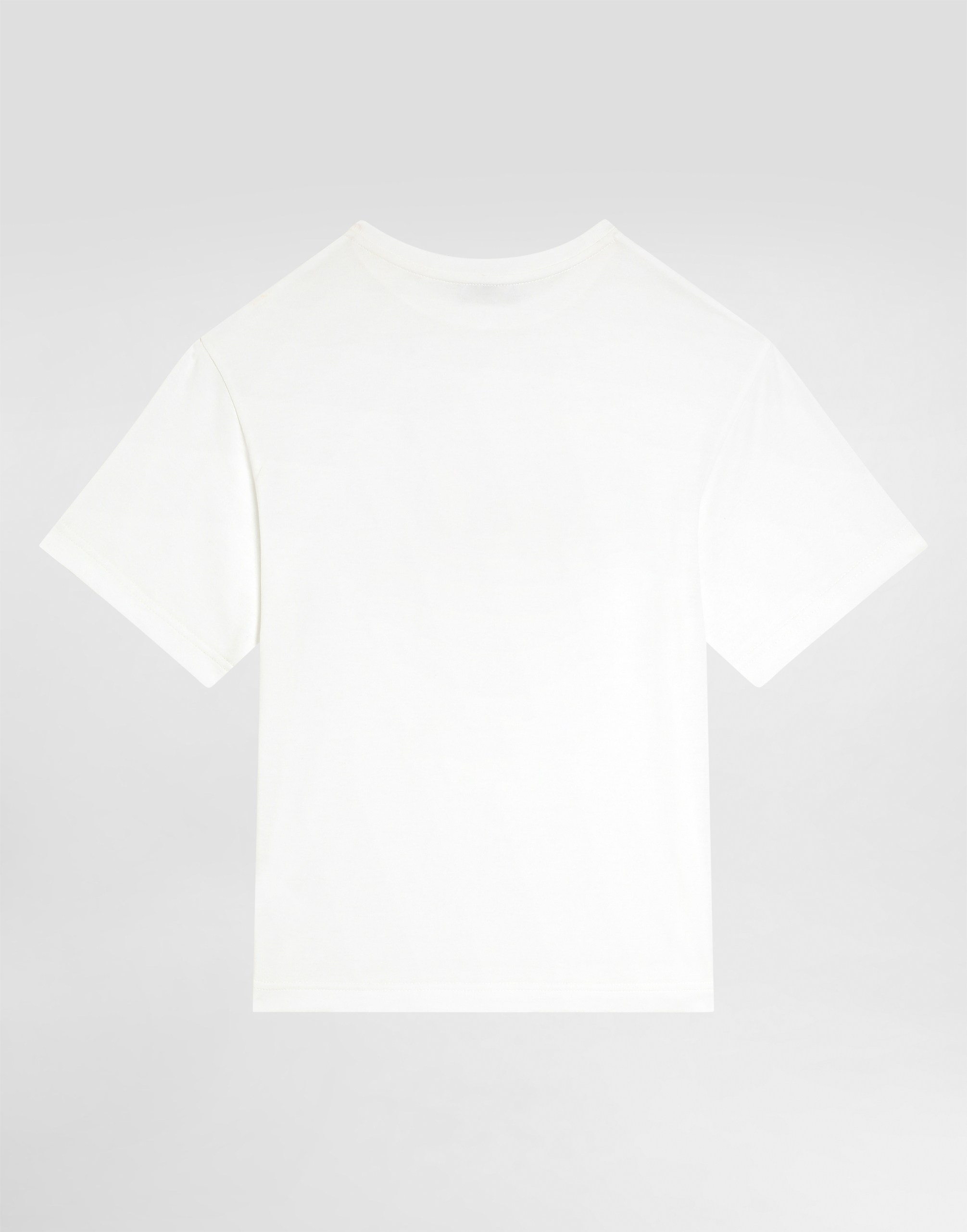 Dolce & Gabbana Jersey T-shirt With Dolce&gabbana Logo In White