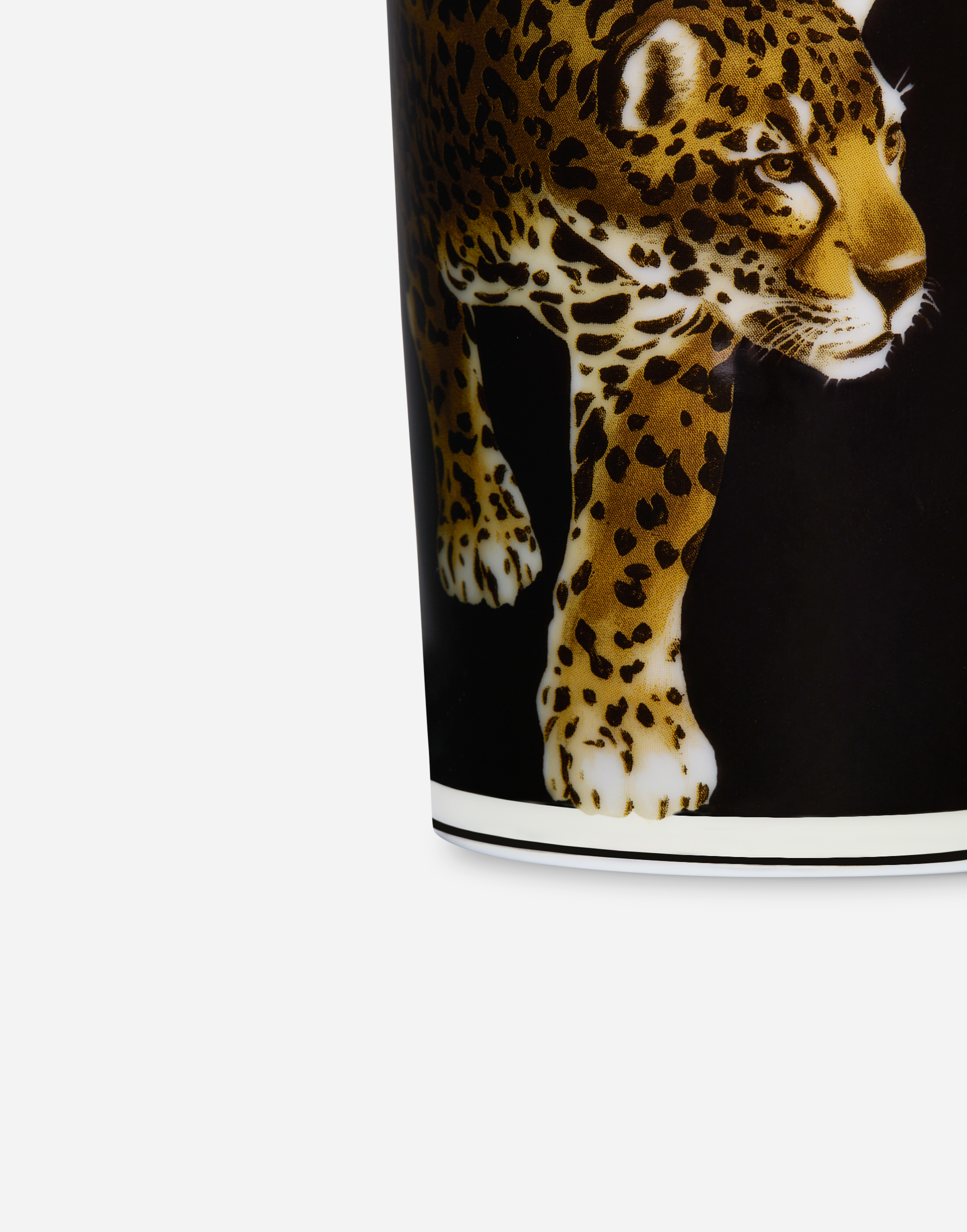 Dolce & Gabbana Porcelain Water Glass In Multicolor