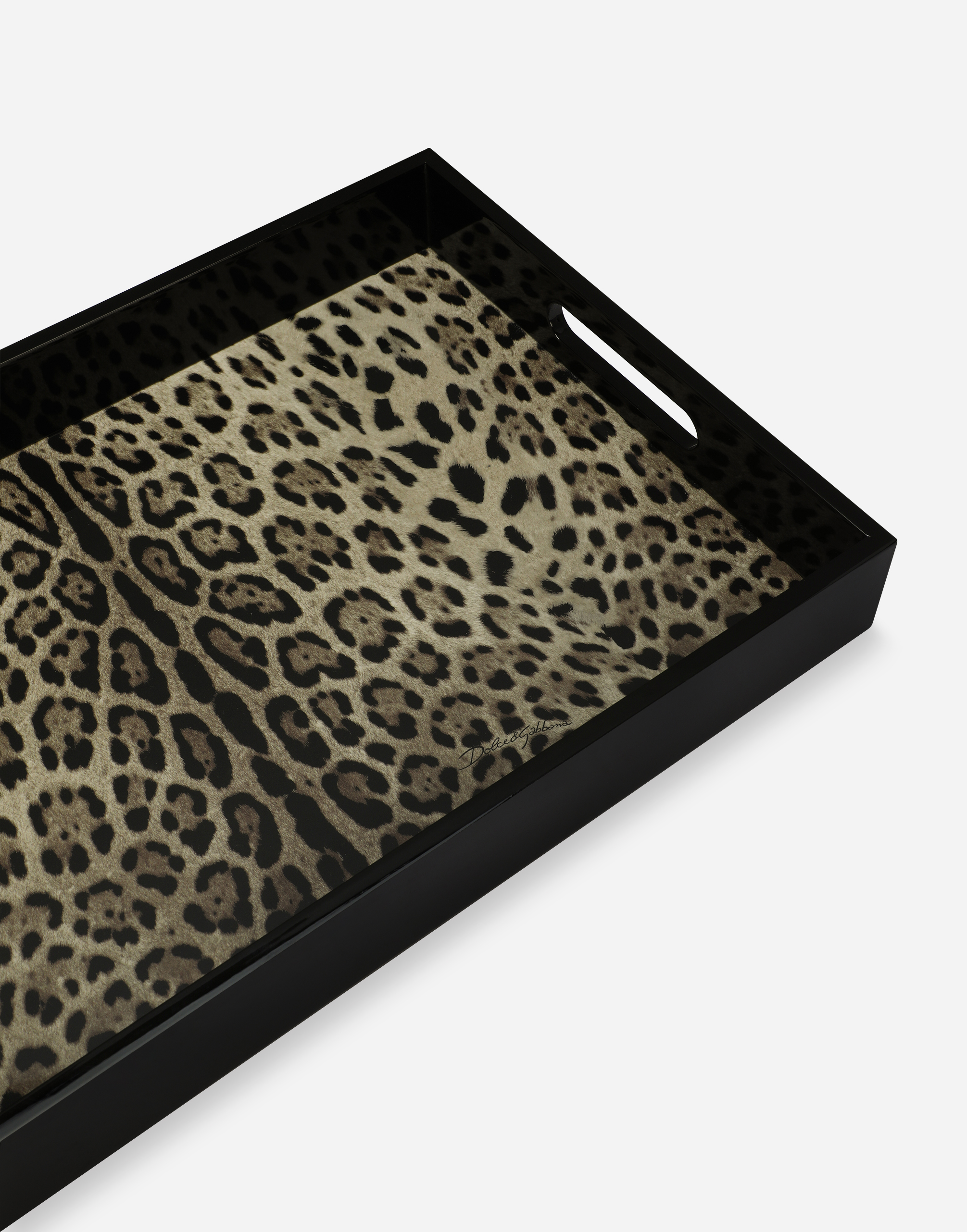 Dolce & Gabbana Wooden Tray In Multicolor