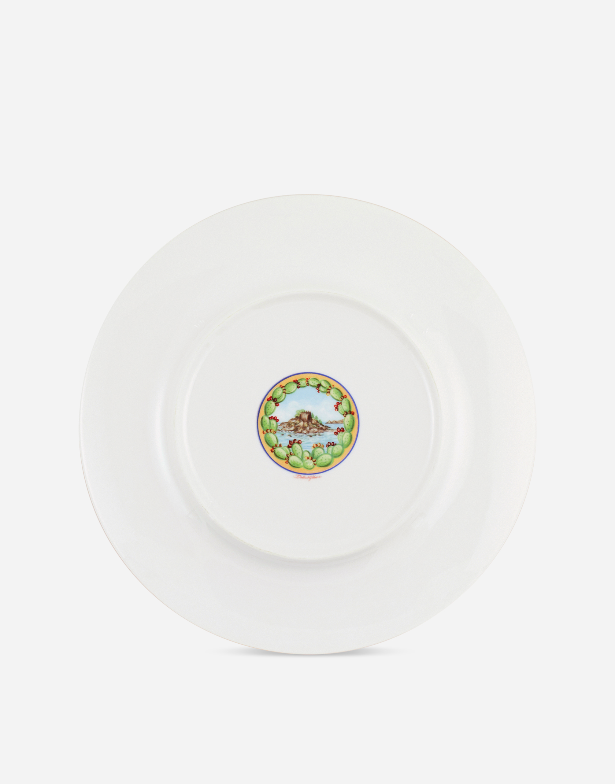 Dolce & Gabbana Set 2 Dinner Plates In Fine Porcelain Multicolor Unisex Onesize In Multicolor