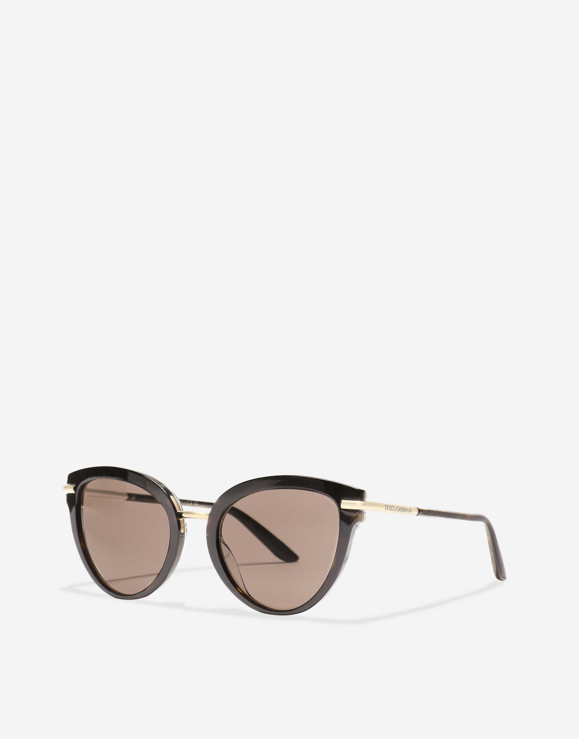 Dolce & Gabbana Dna Sunglasses In Havana On  Carretto Print