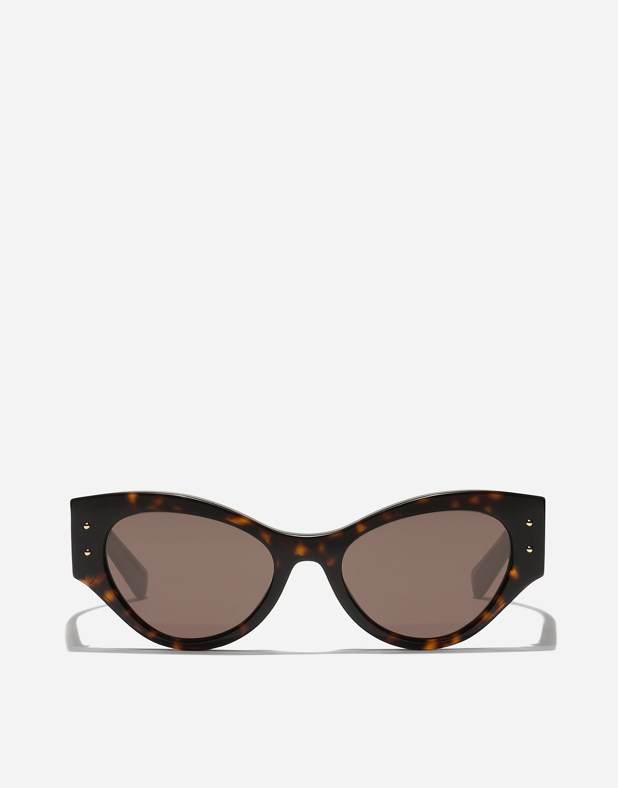 Dolce & Gabbana Dg Logo Plaque Sunglasses - Woman New Arrivals Havana Acetate Onesize