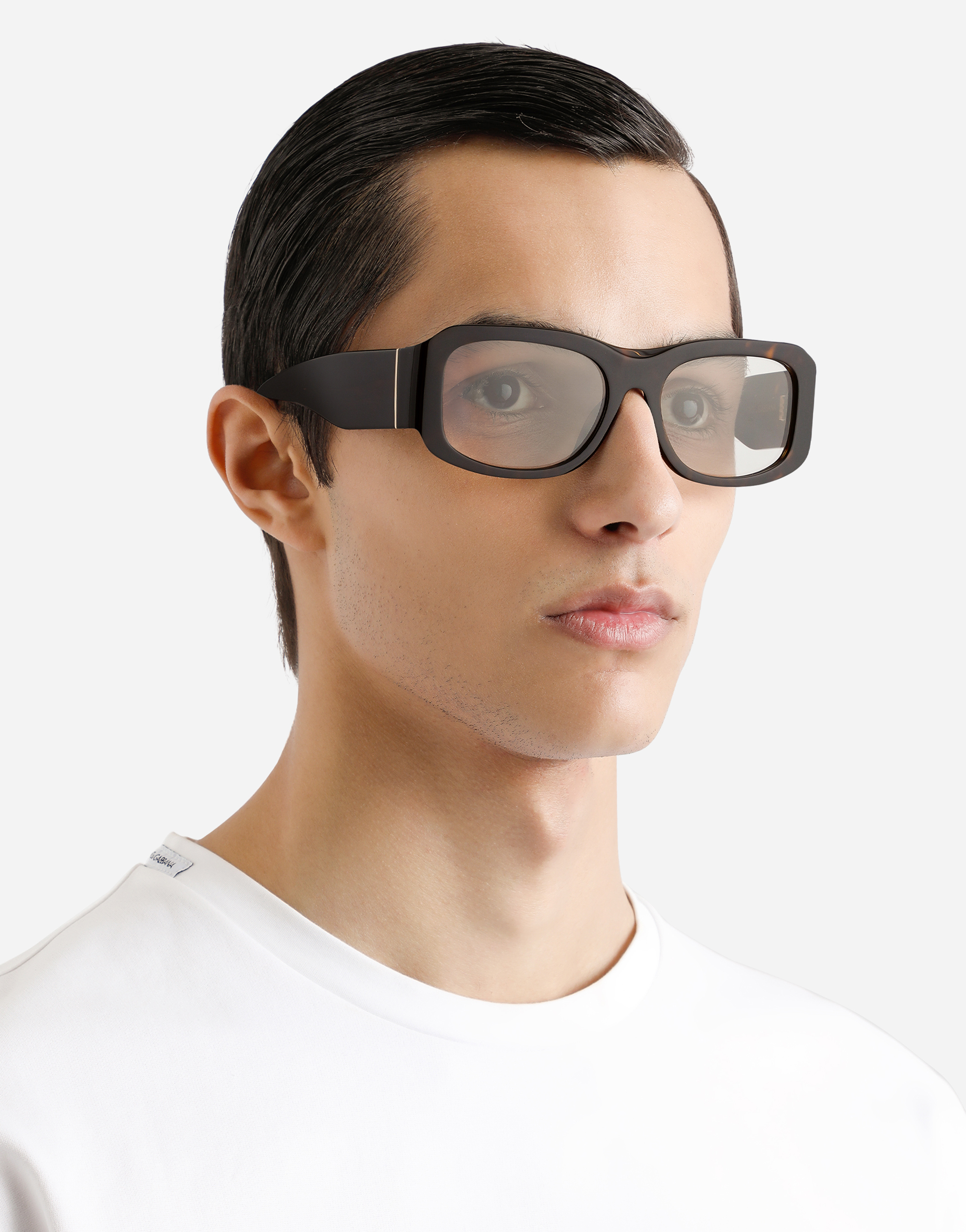 Dolce & Gabbana Lusso Sartoriale Sunglasses In Havana