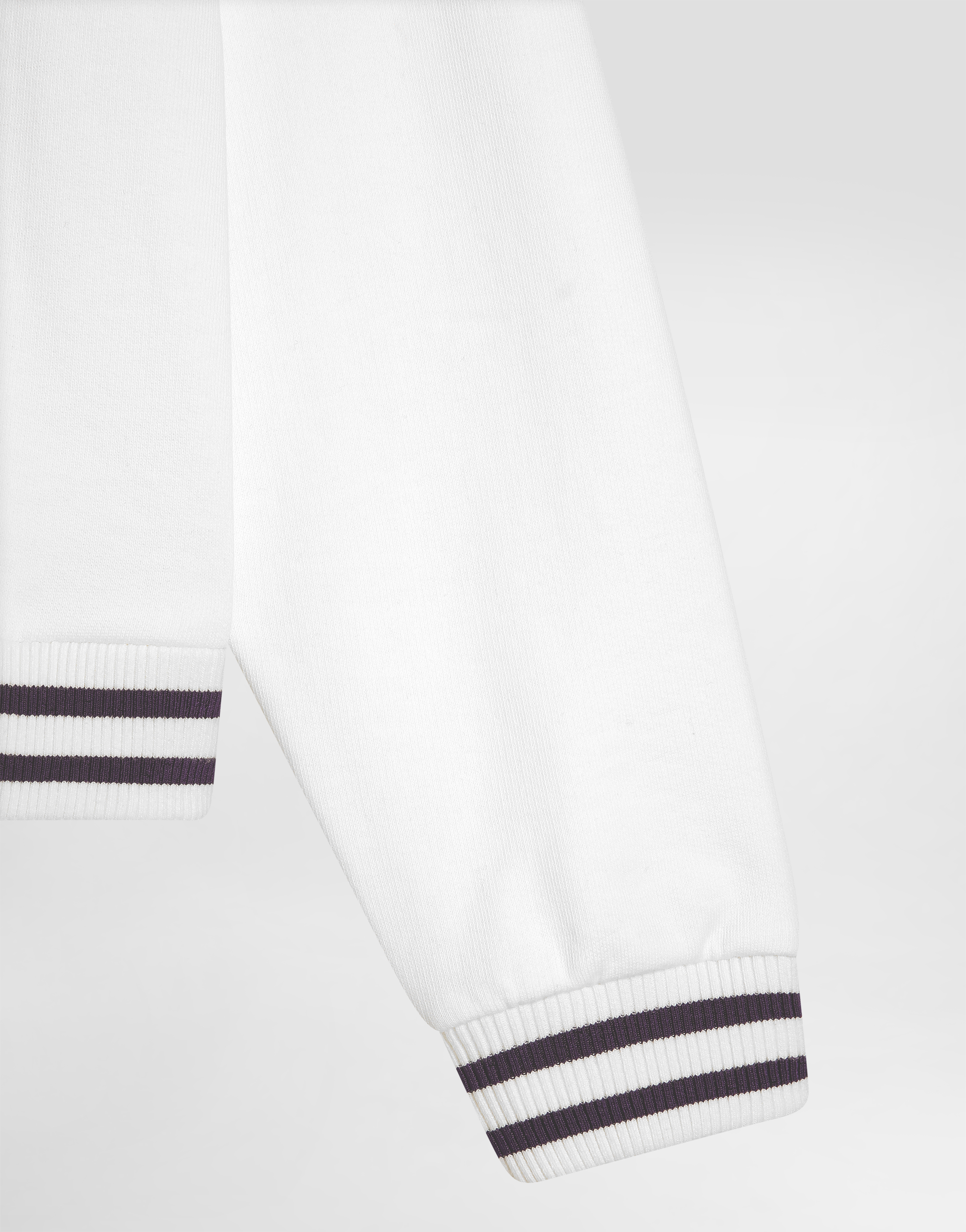 Dolce & Gabbana Majolica-print Crew Neck Sweatshirt With Dg Embroidery