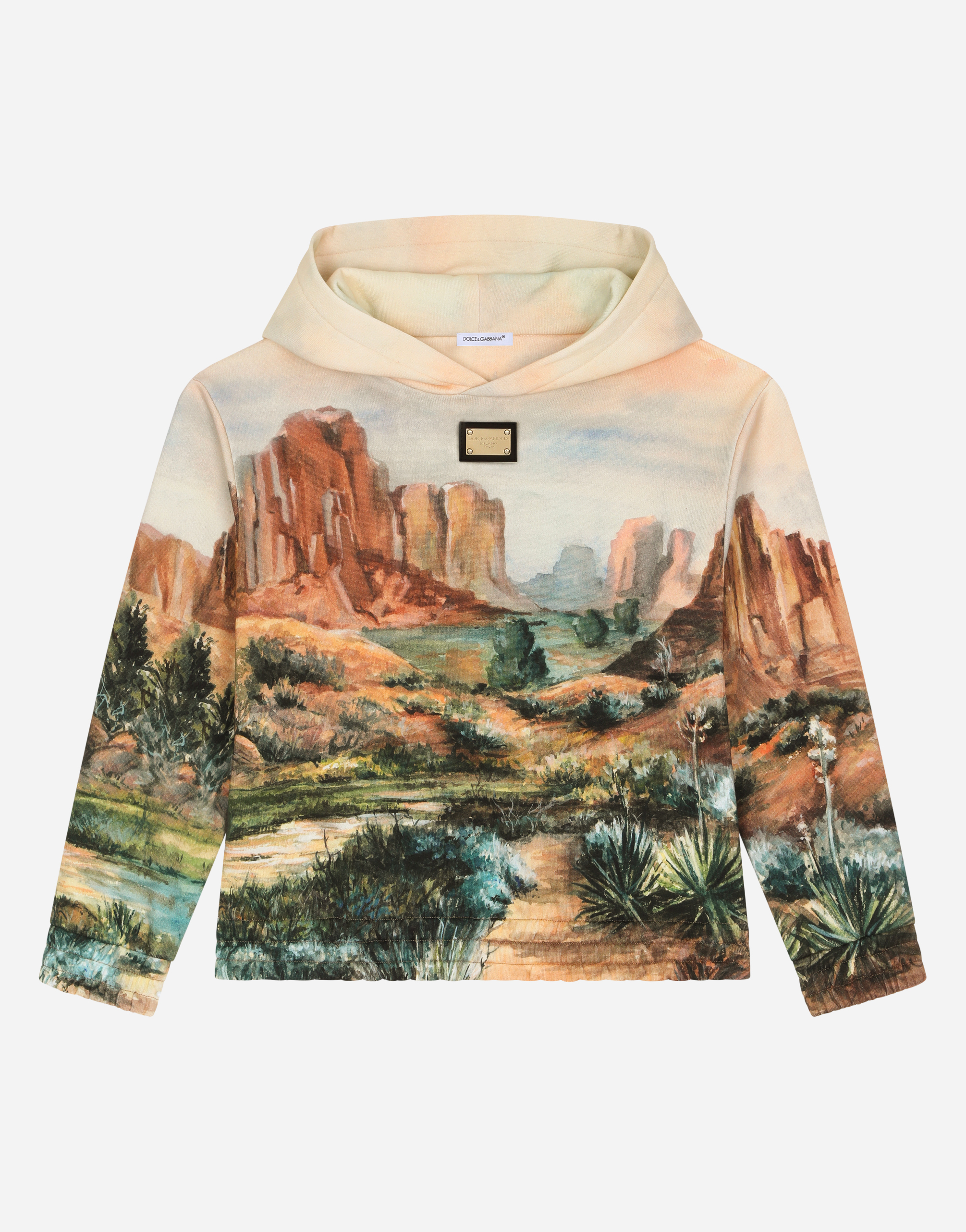 DOLCE & GABBANA HOODIE WITH CANYON PRINT AND LOGO TAG