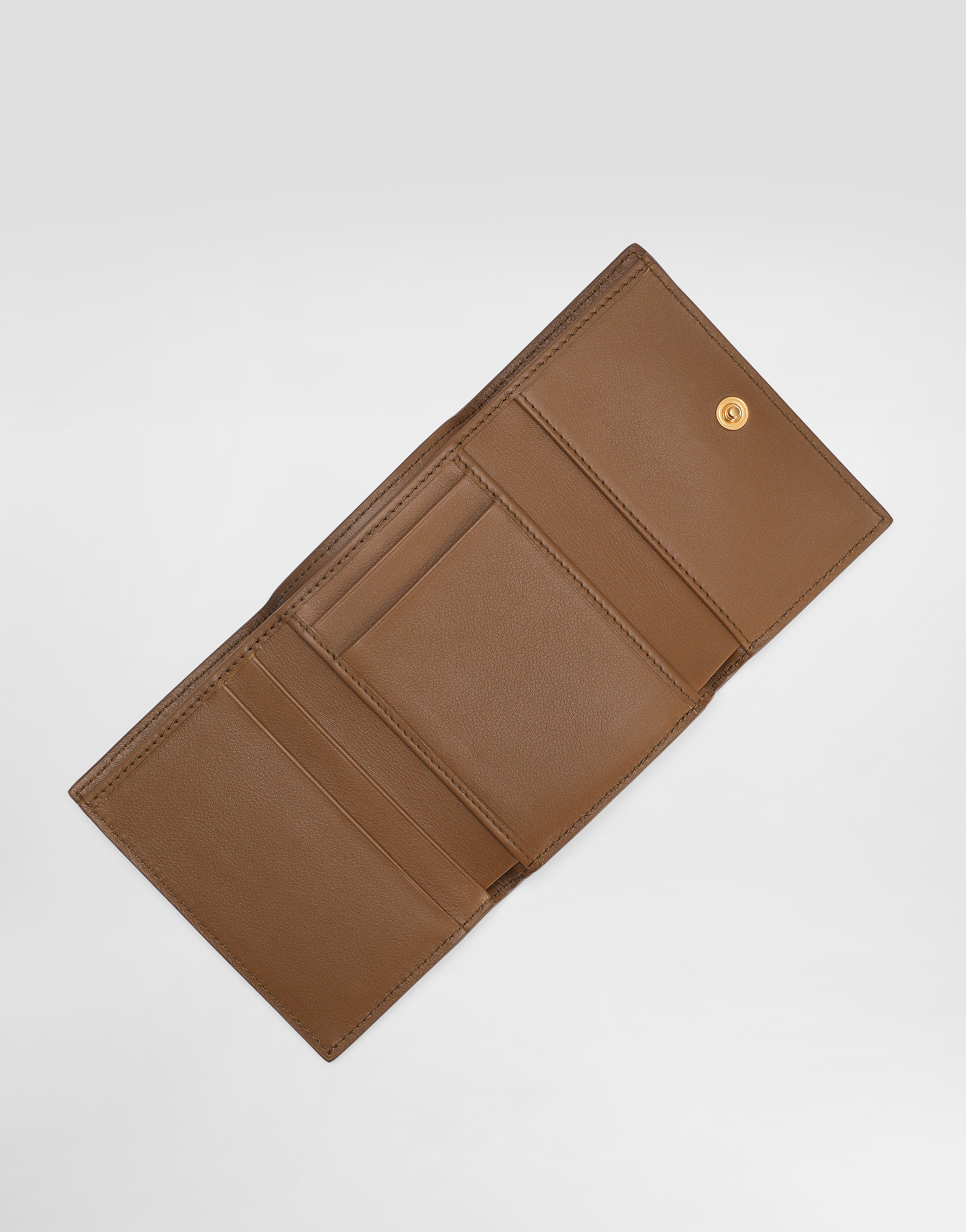 Dolce & Gabbana Plongé Calfskin Wallet In Brown