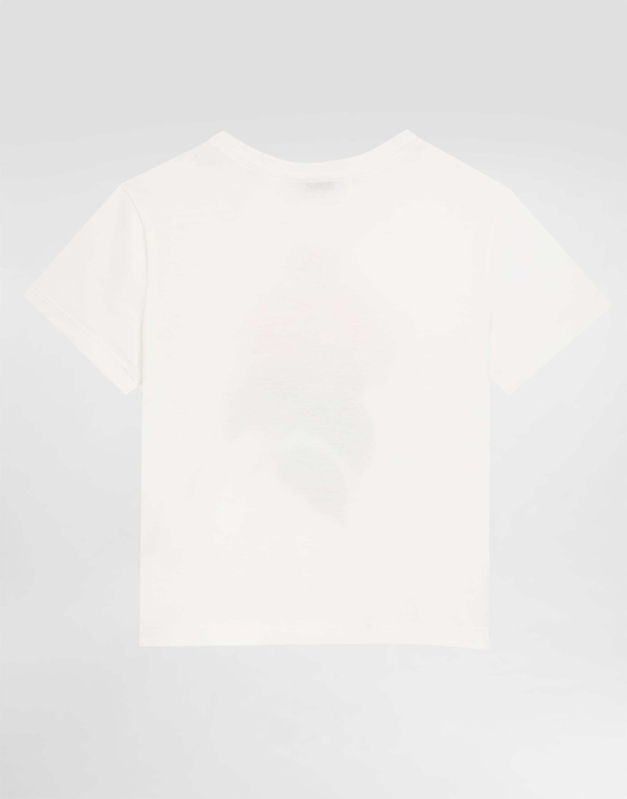 Dolce & Gabbana Jersey T-shirt With Print And Dg Logo In White