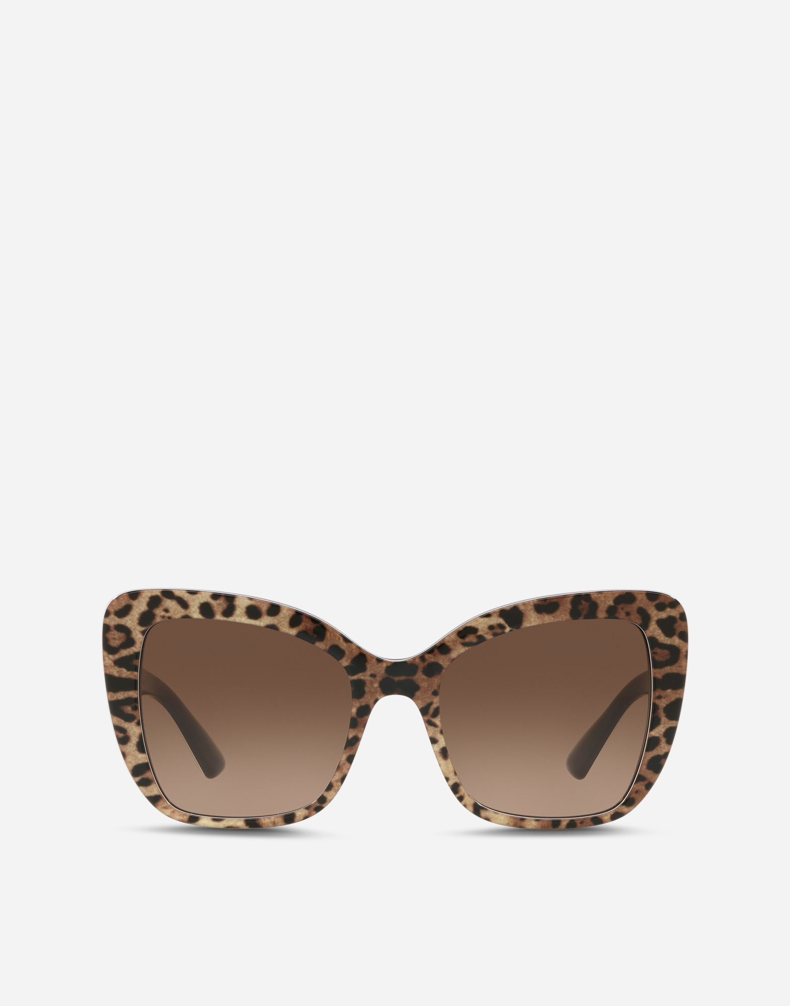 Dolce & Gabbana Print Family Sunglasses In Leo Print