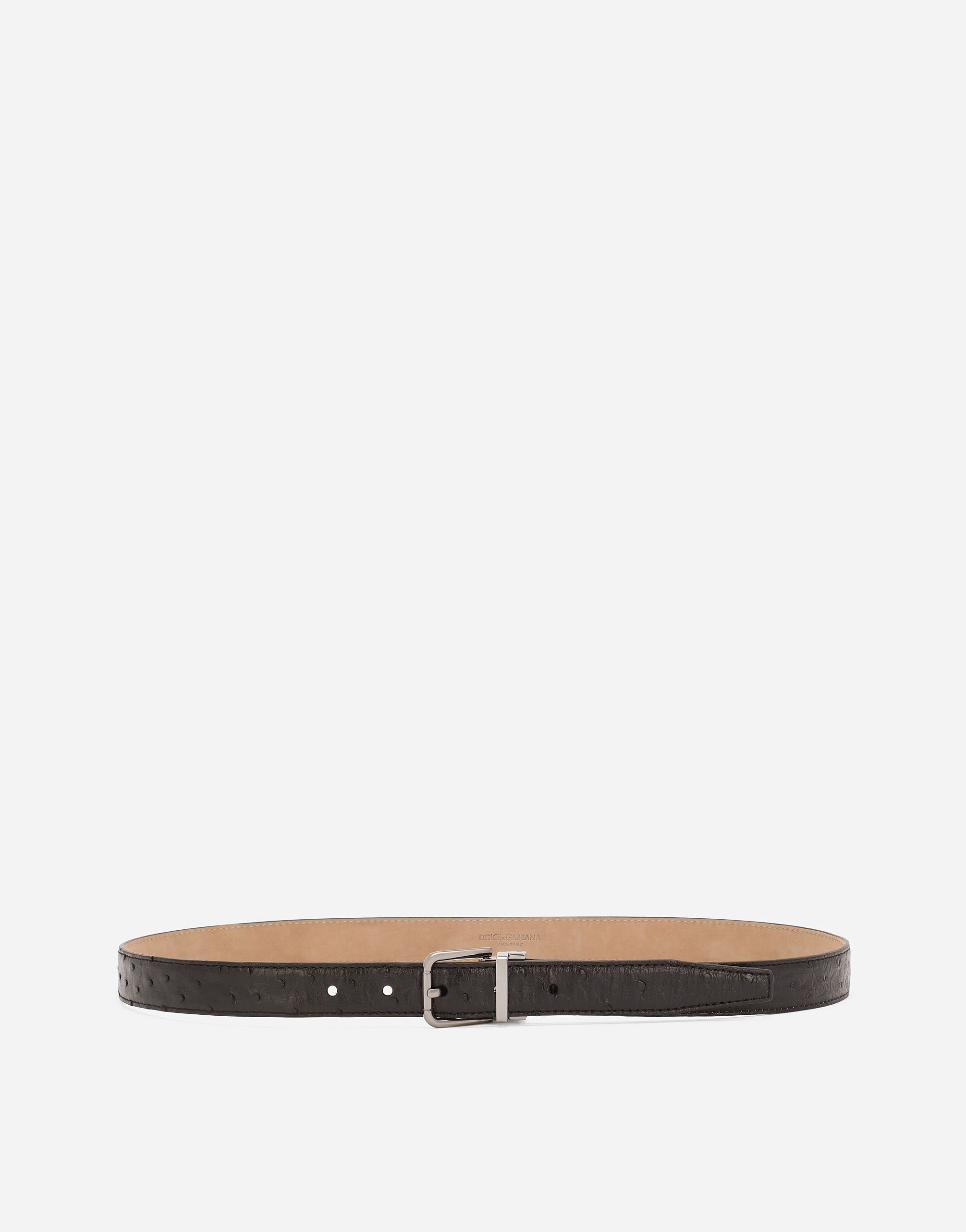 Dolce & Gabbana Ostrich Leather Belt - Man Belts Black 100