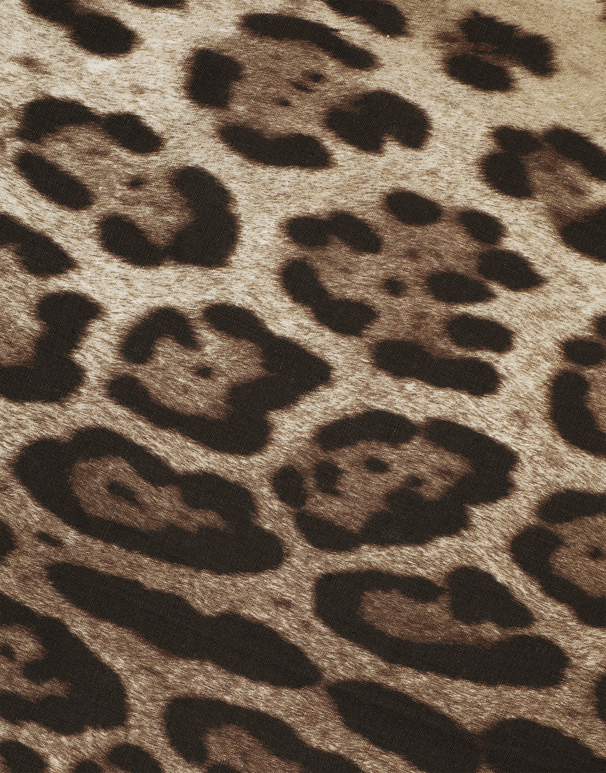Dolce & Gabbana Leopardo-print Linen Tablecloth Set In Multicolor